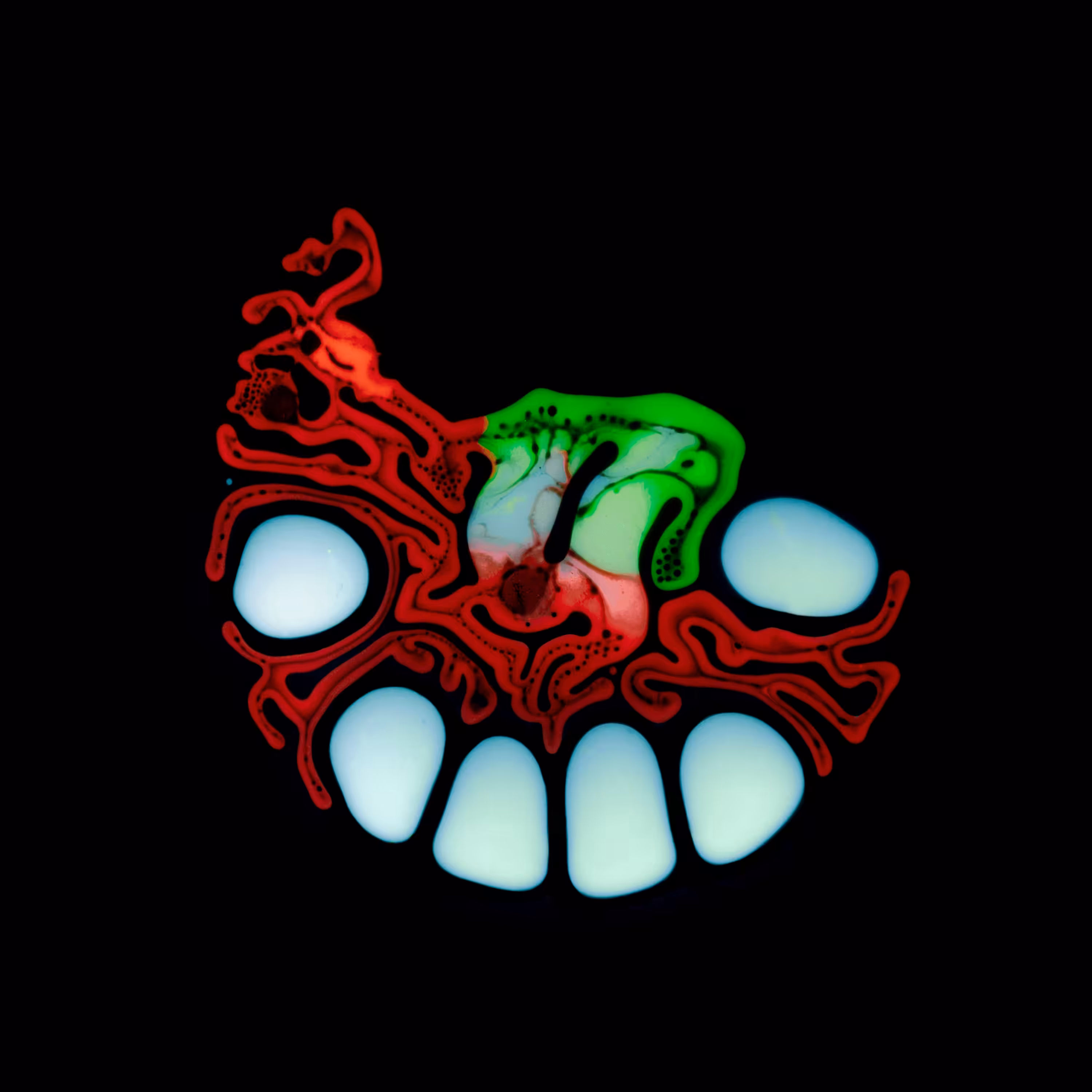 Haematopoiesis #113