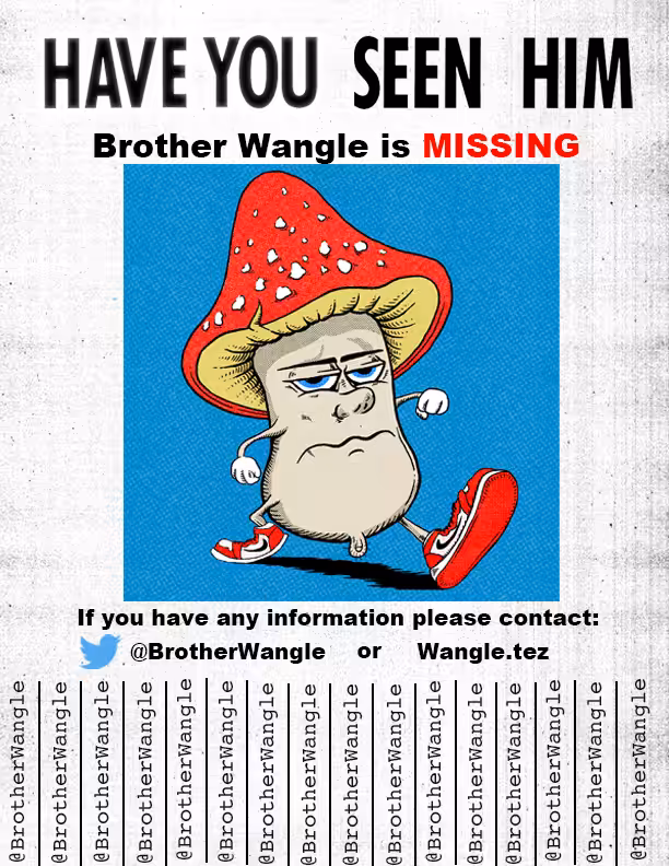 Missing Wangle 25