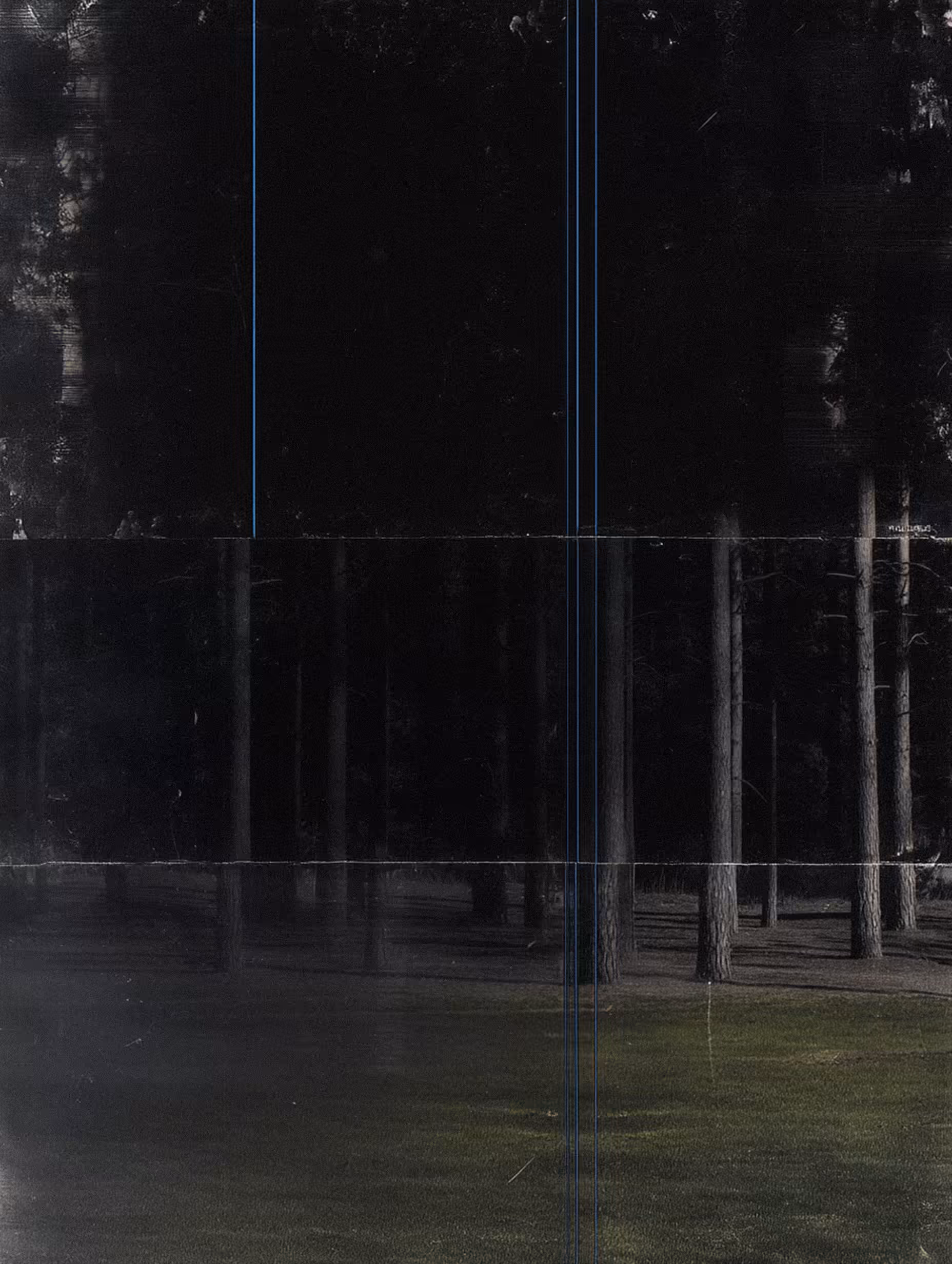 NeLandscape [16]