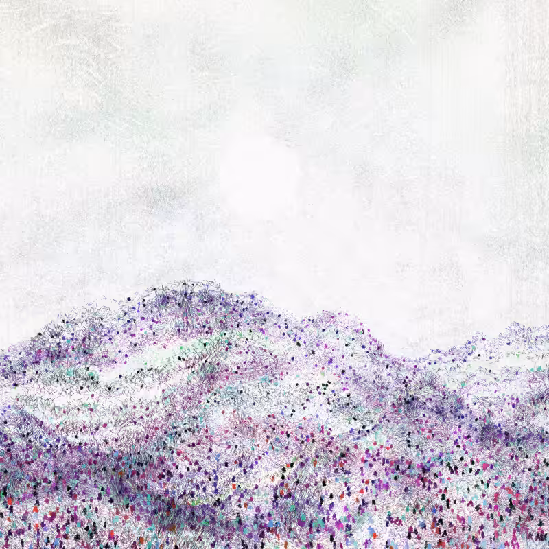 Cold Mountain #367