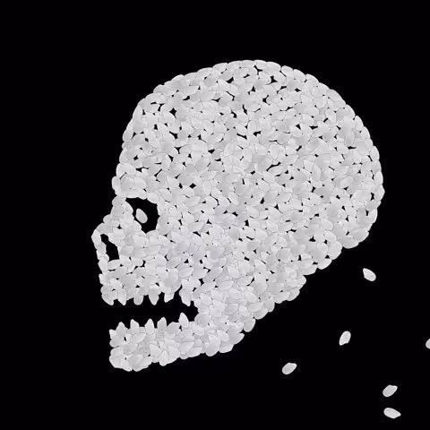 stared at the skull of a rice grain