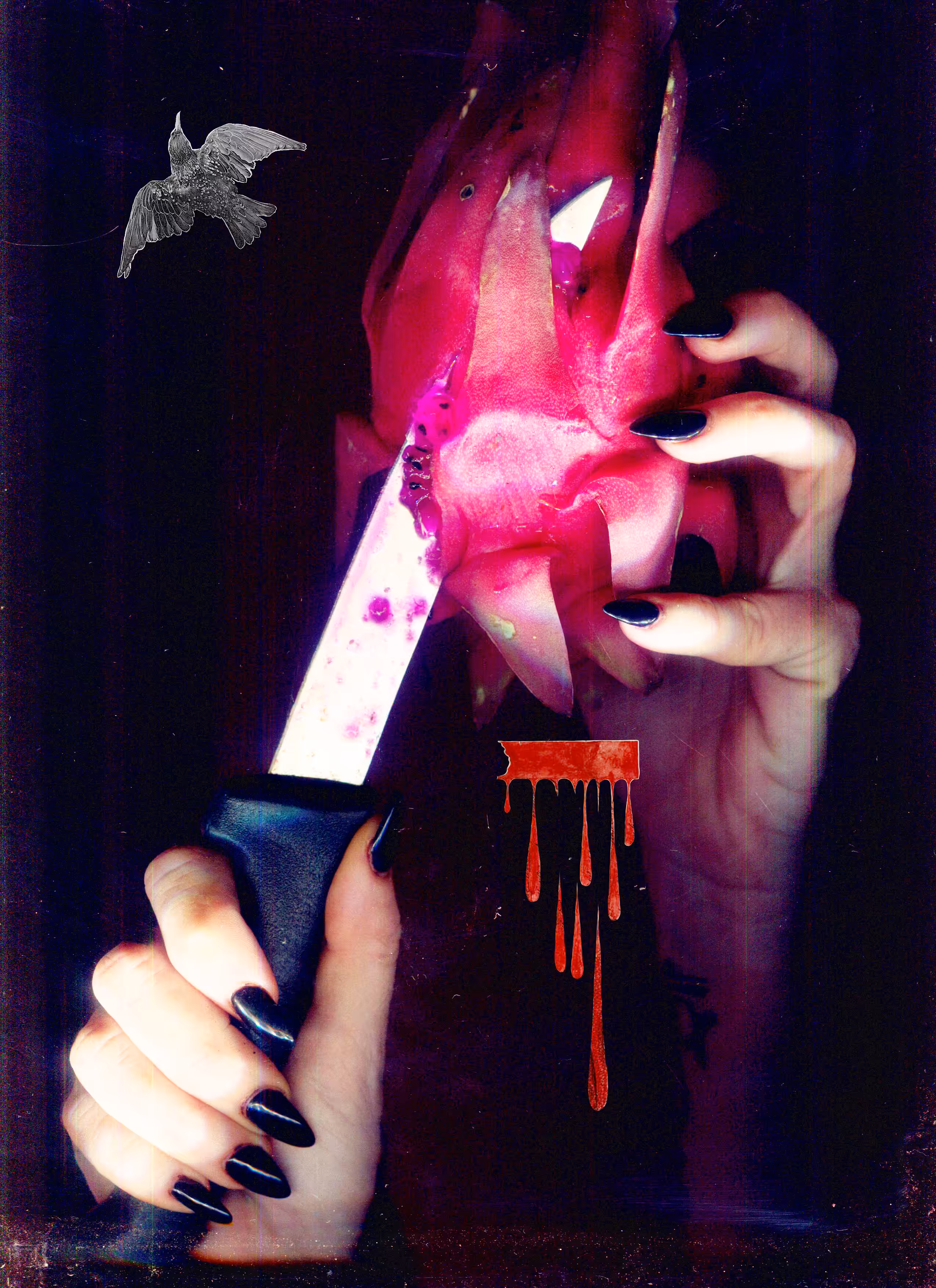 Plate 023 _ Heart