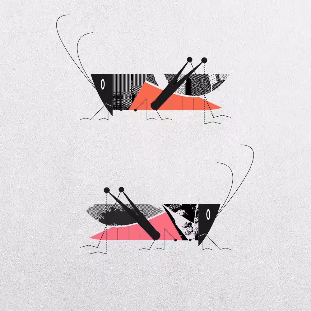 Grasshopper Abstraction #10