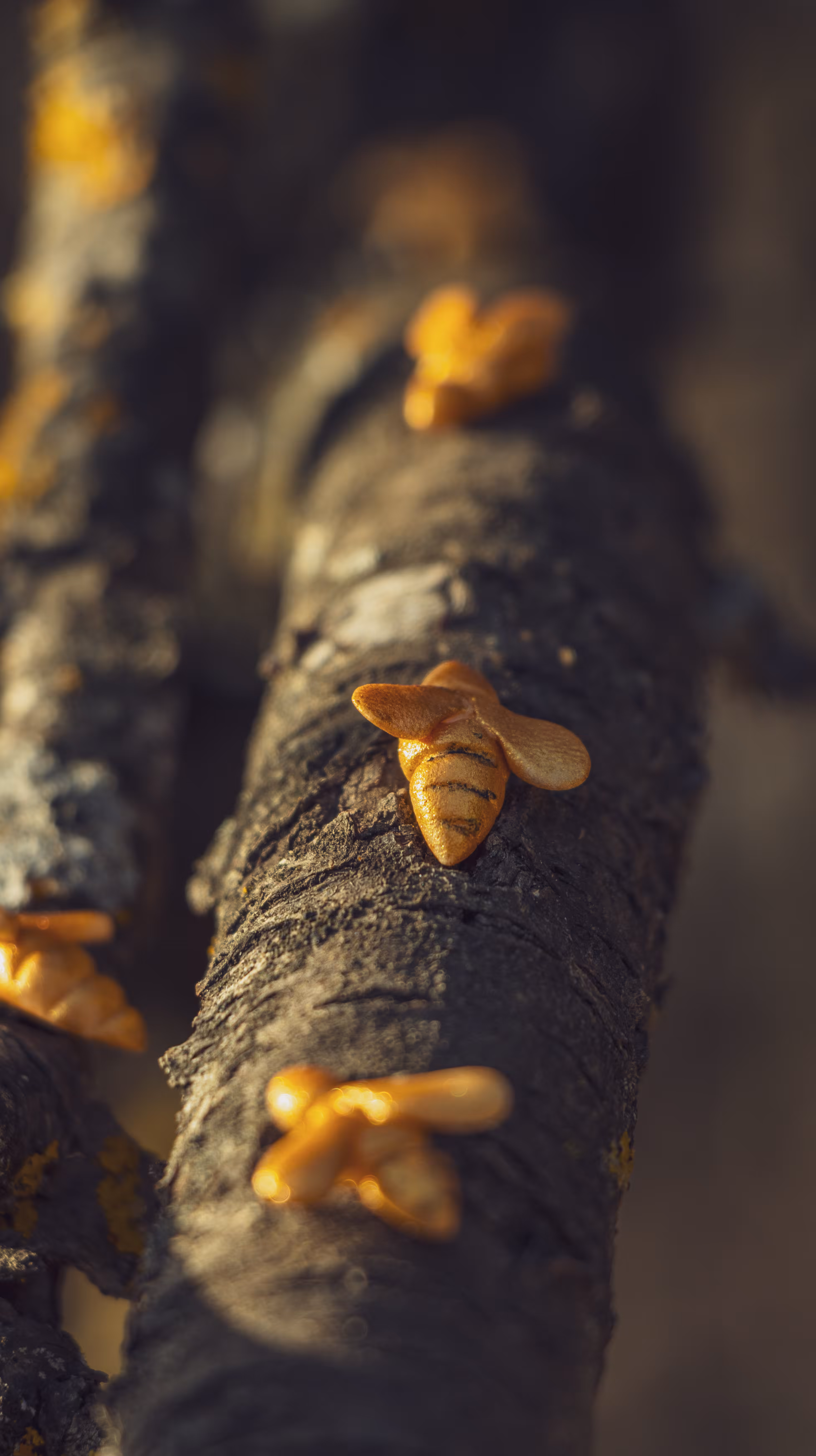 ArtnNature #4