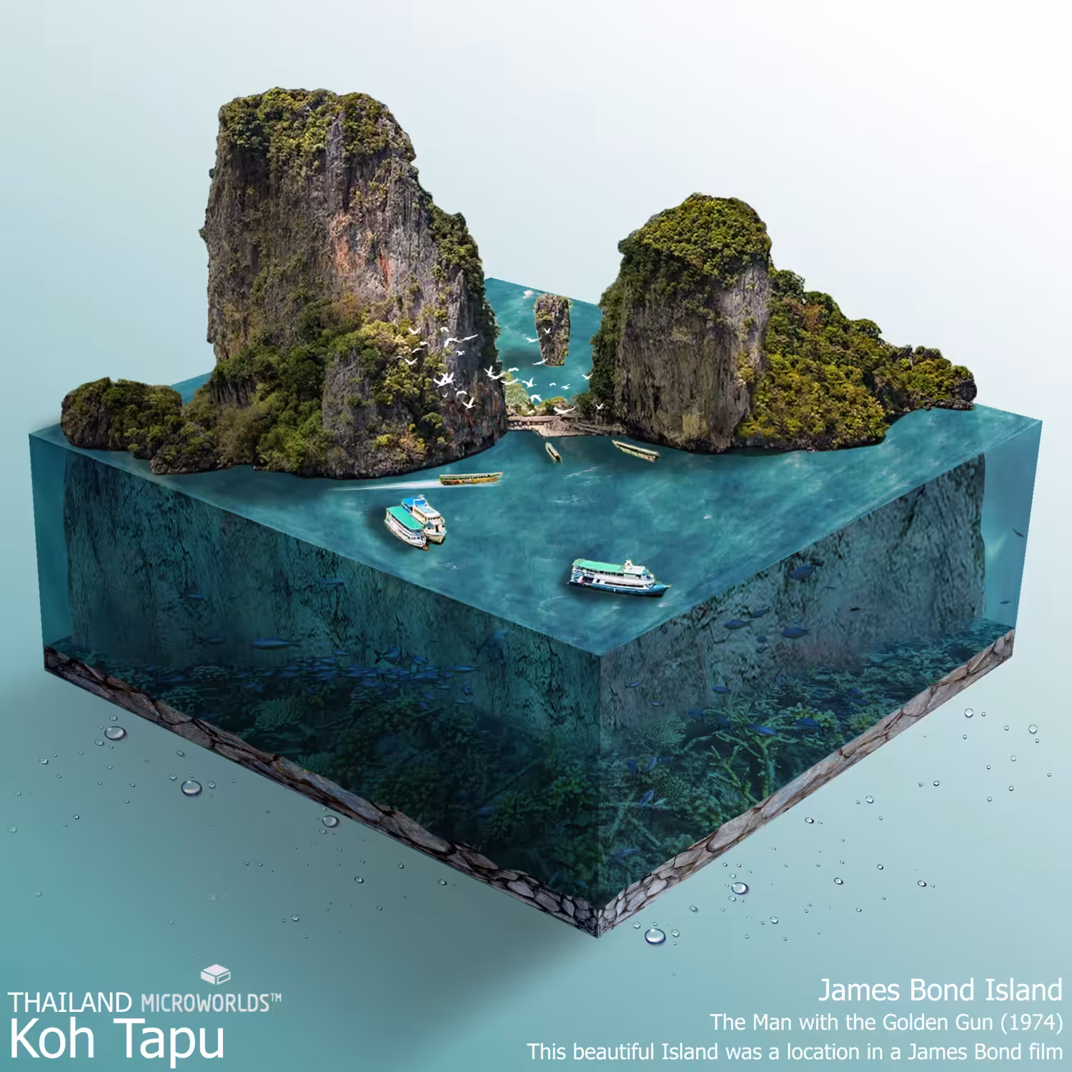 Microworld Koh Tapu