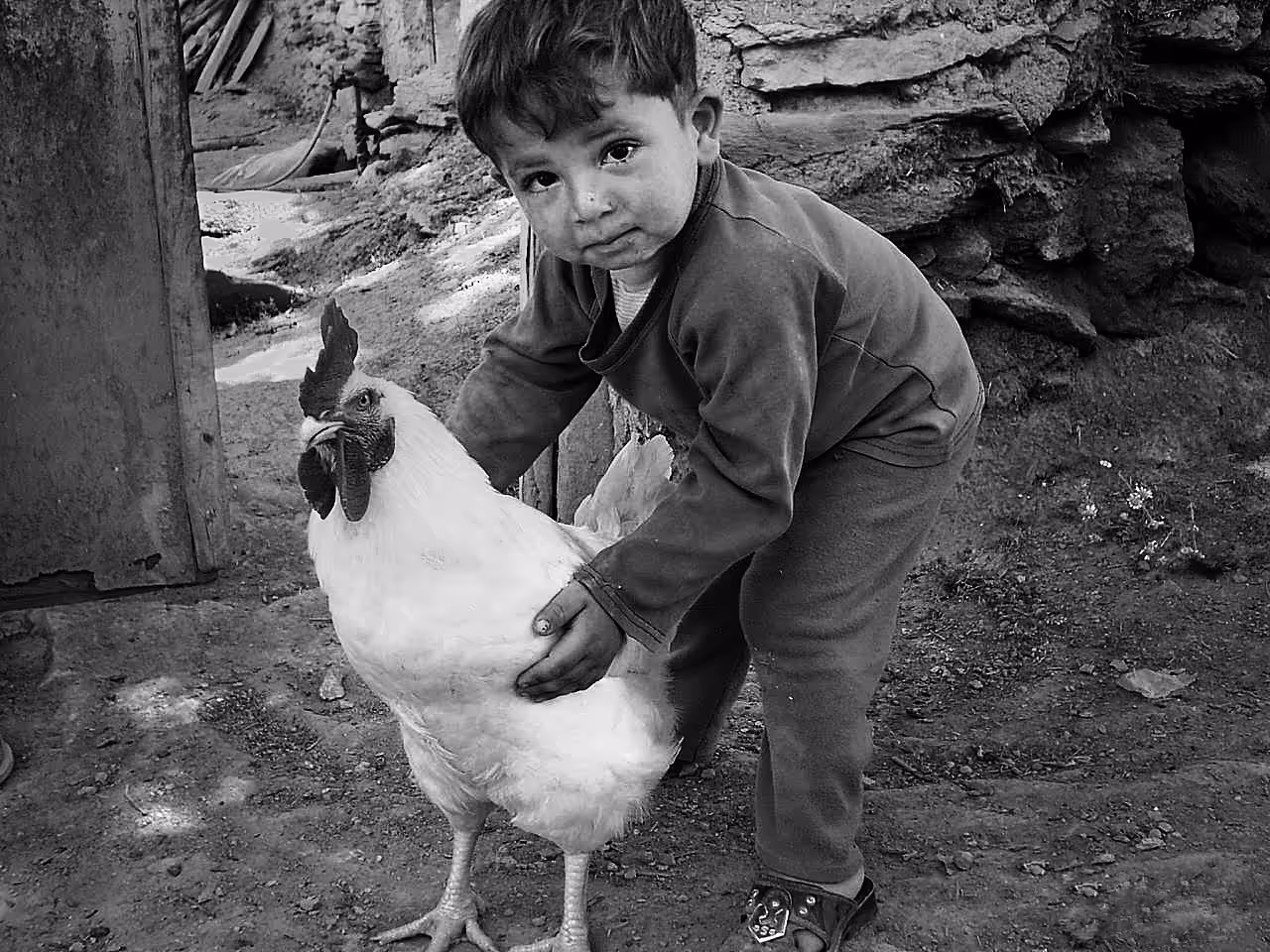 Childhood 1
