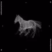Horse 2D-3D
