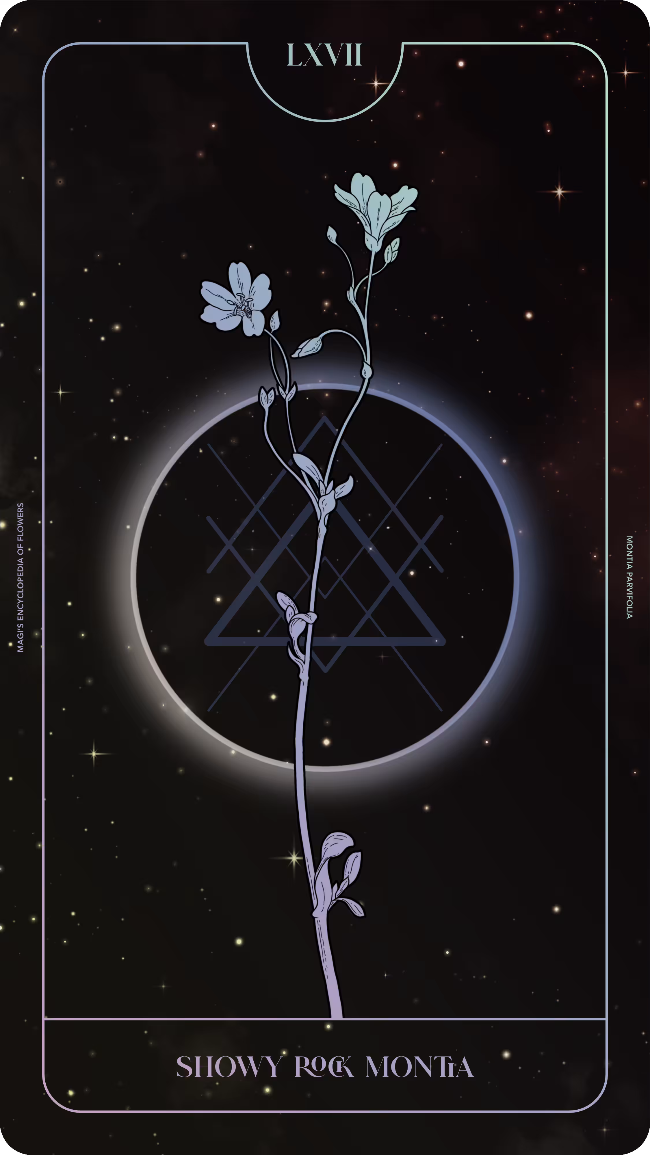 Magi's Encyclopedia of Flowers: 067 Showy Rock Montia