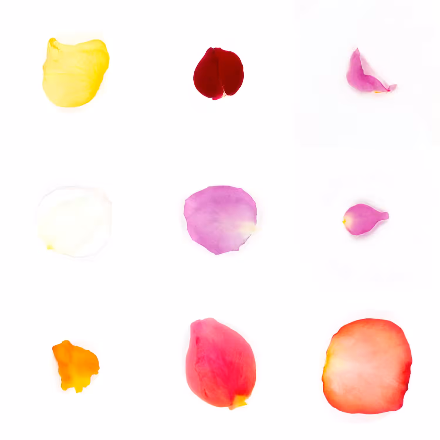 Infinite Petals 3x3#3081