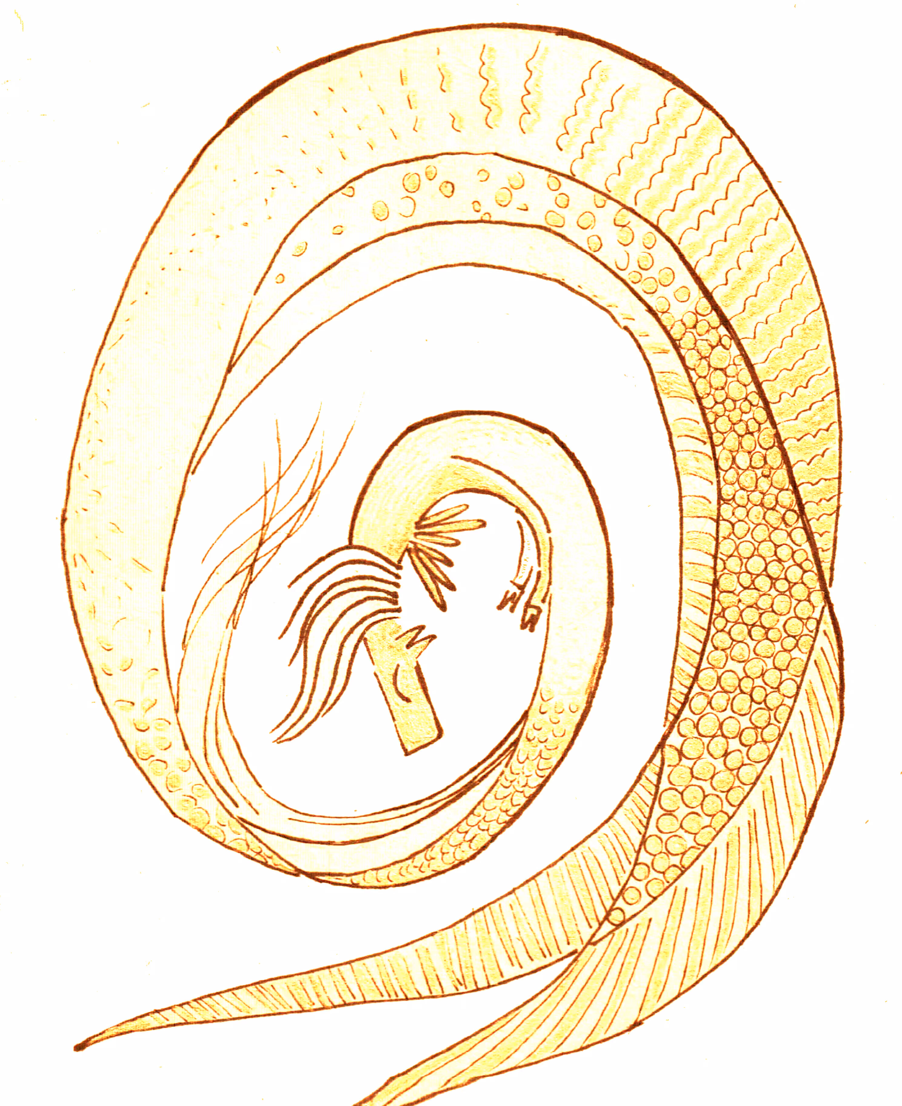 becoming mermaid