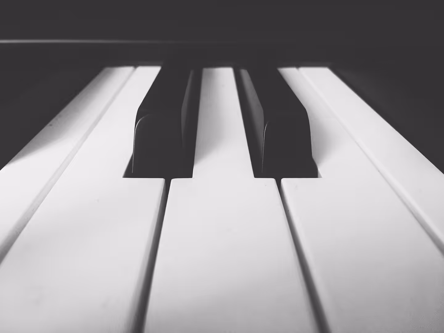 Monochrome Melody