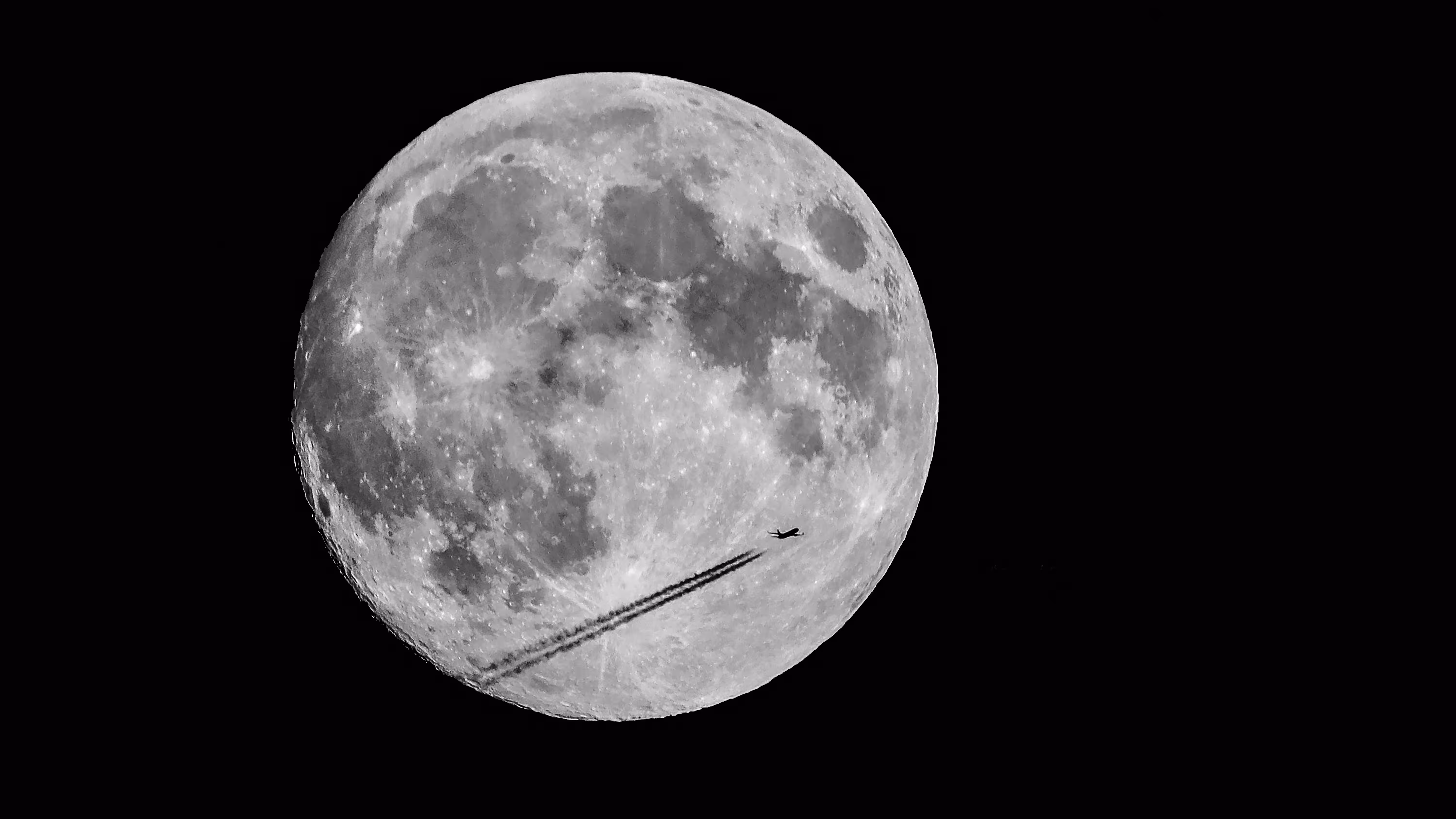To The Moon- Single Shot