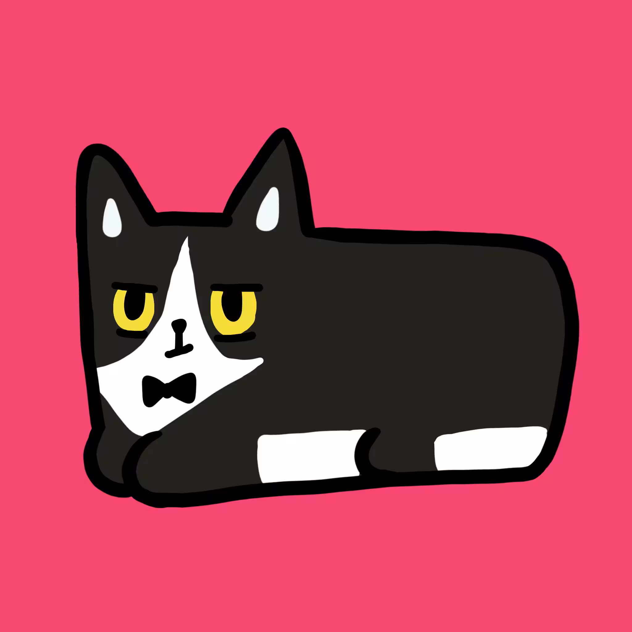 Sunny Cat 27