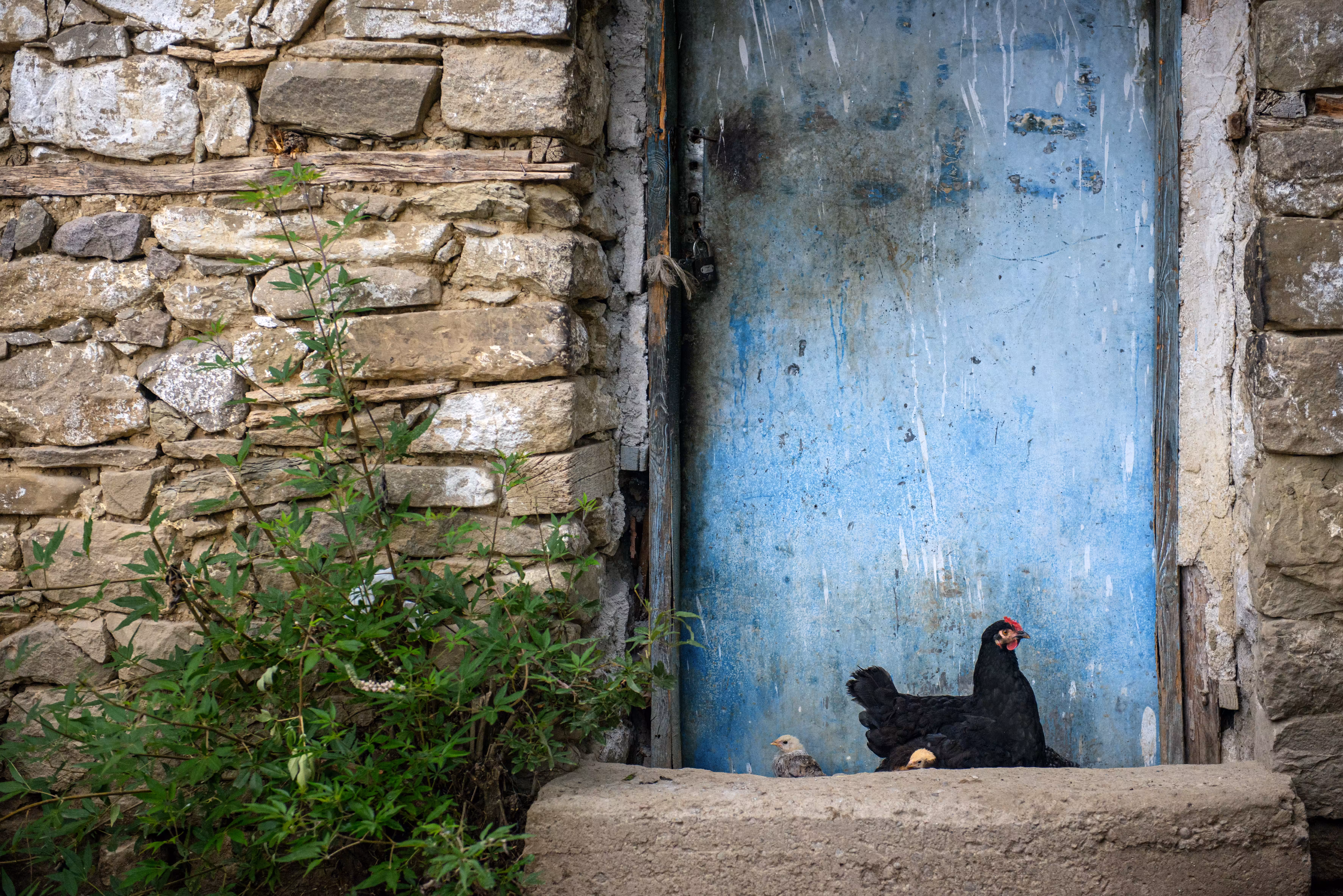 The Happy Valley: Small Farm Residents