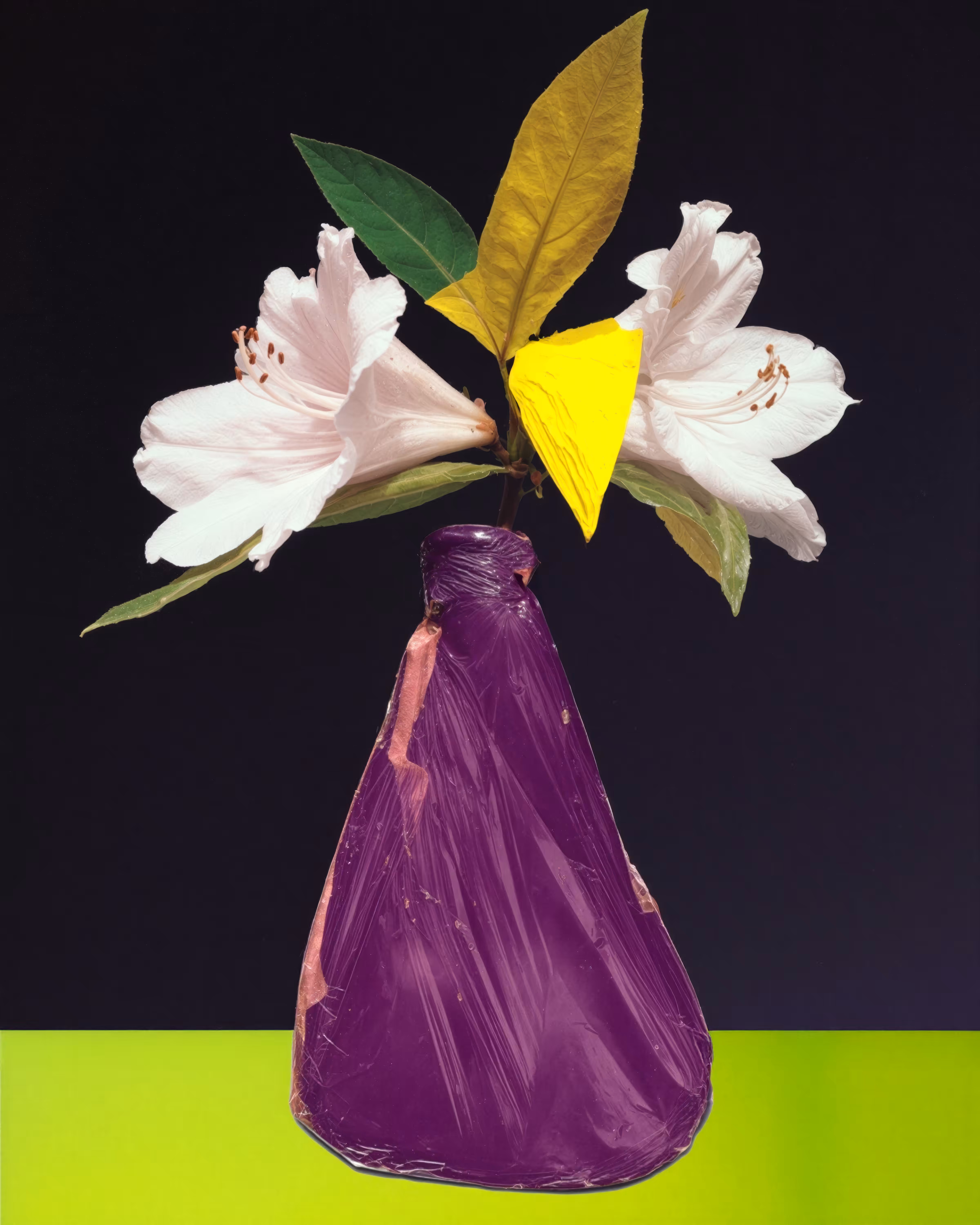 À Propos des Fleurs [Protocol]