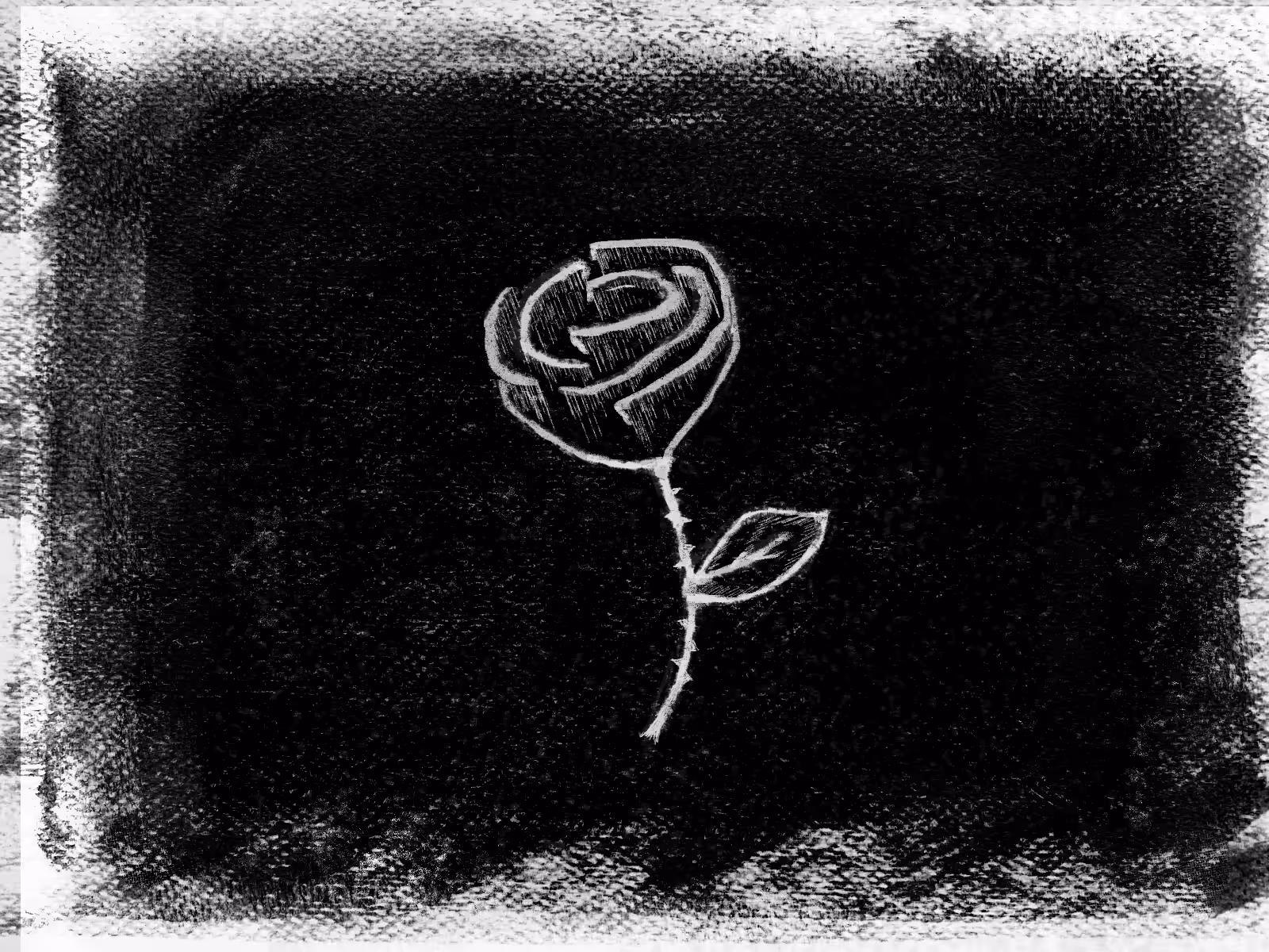 Ephemeral Rose