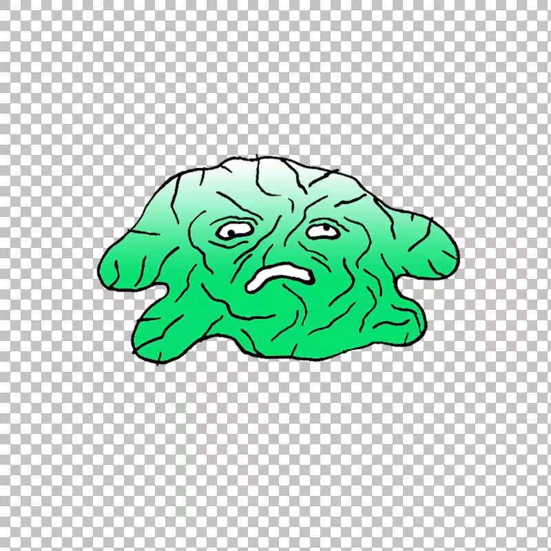 Amoeba