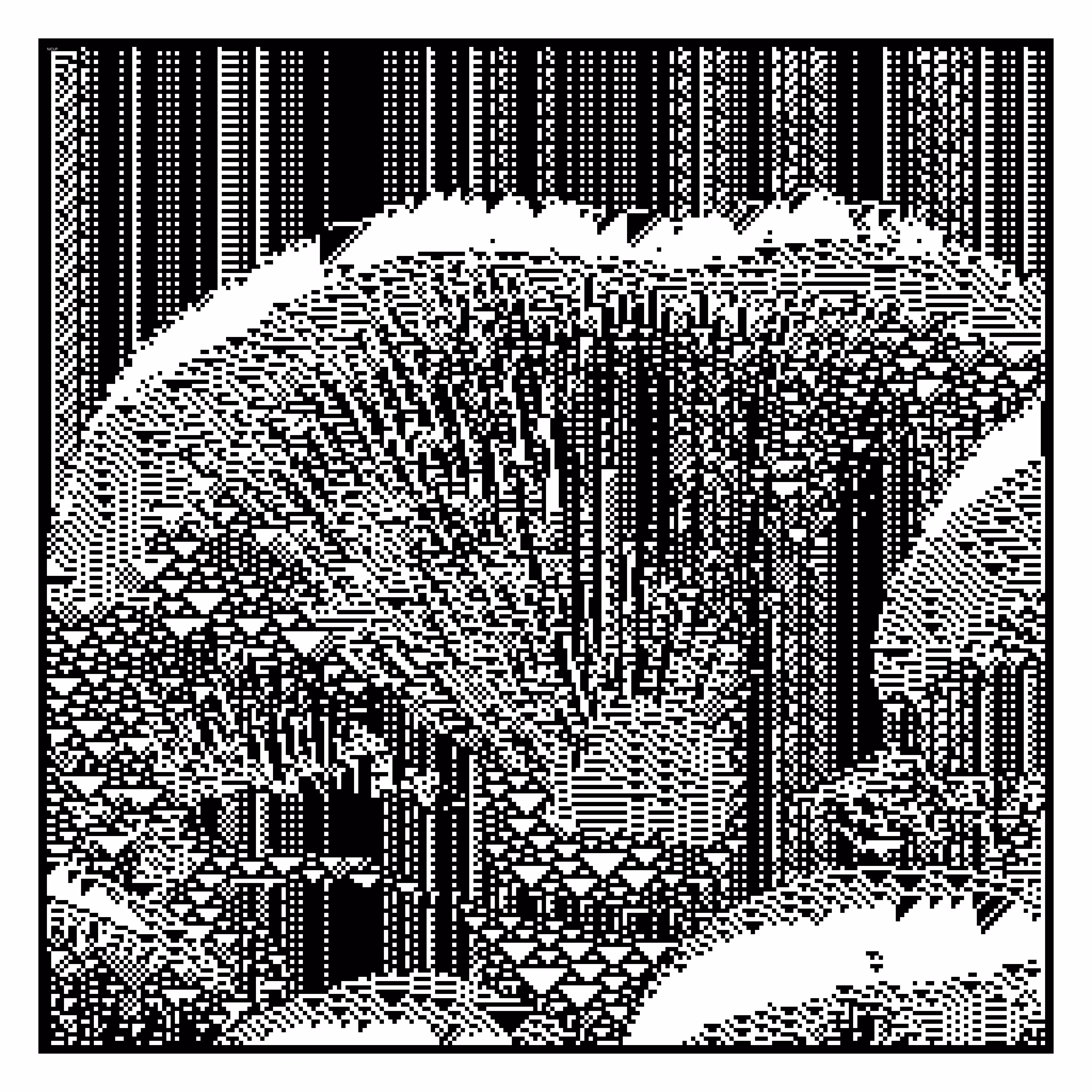 Mushroom for President!