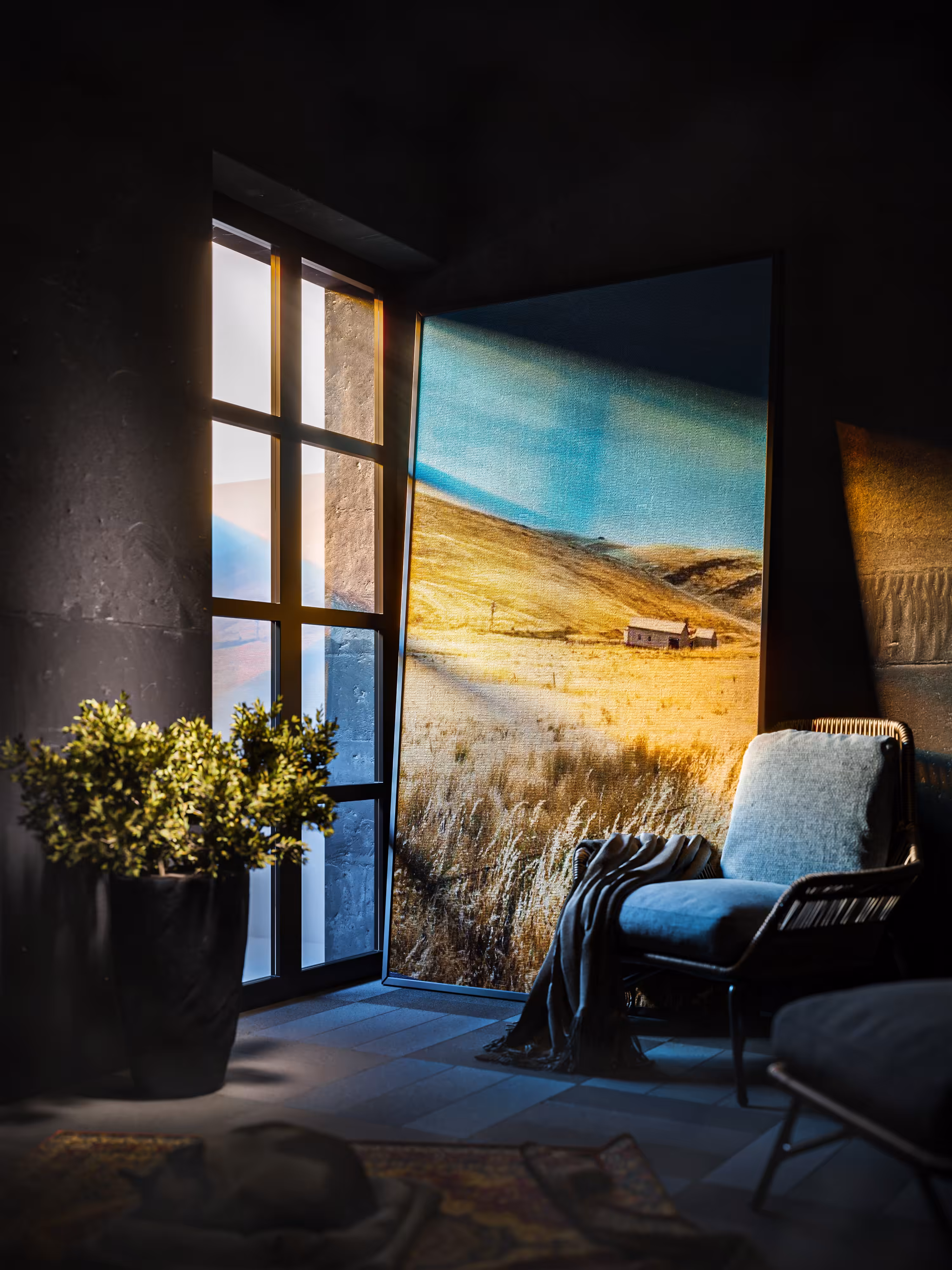 Window Light