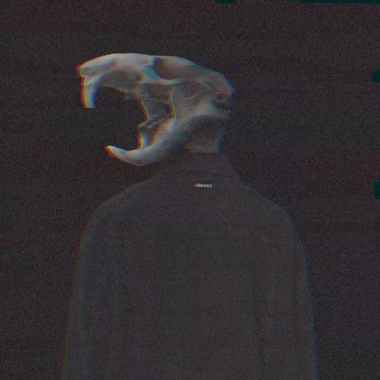 BONES 5/5 [Shooting Stars]