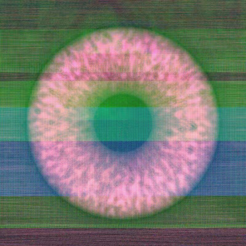 Distorted Vision #33