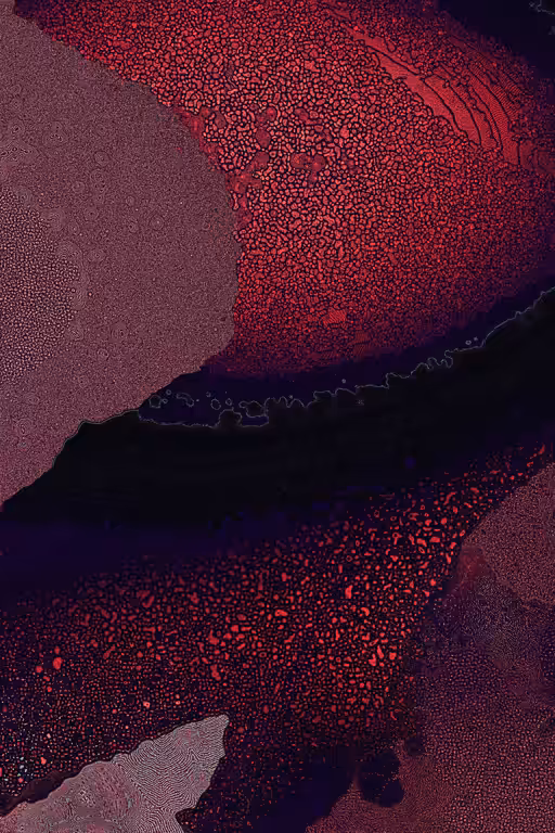 Dactylogram #22