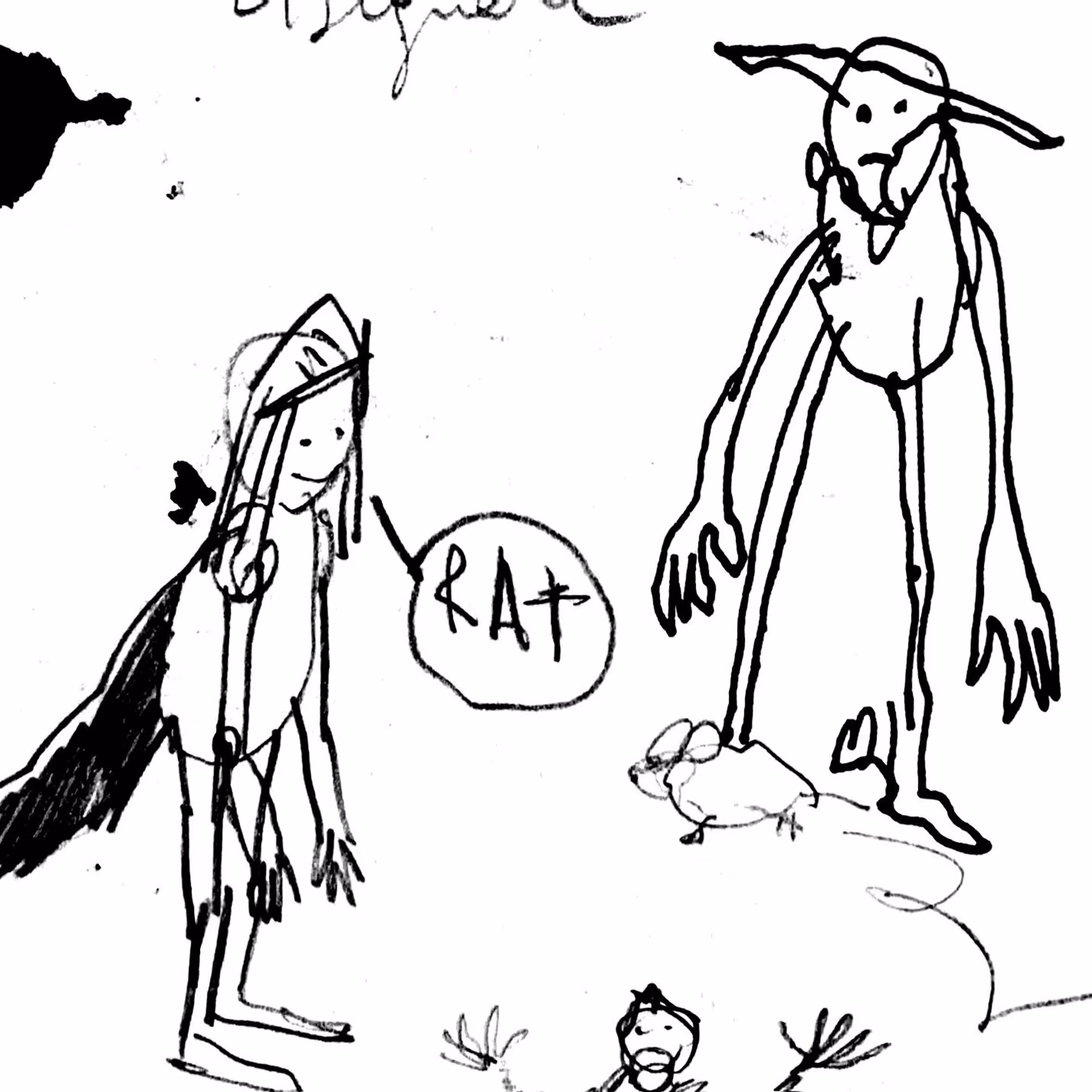 rat
