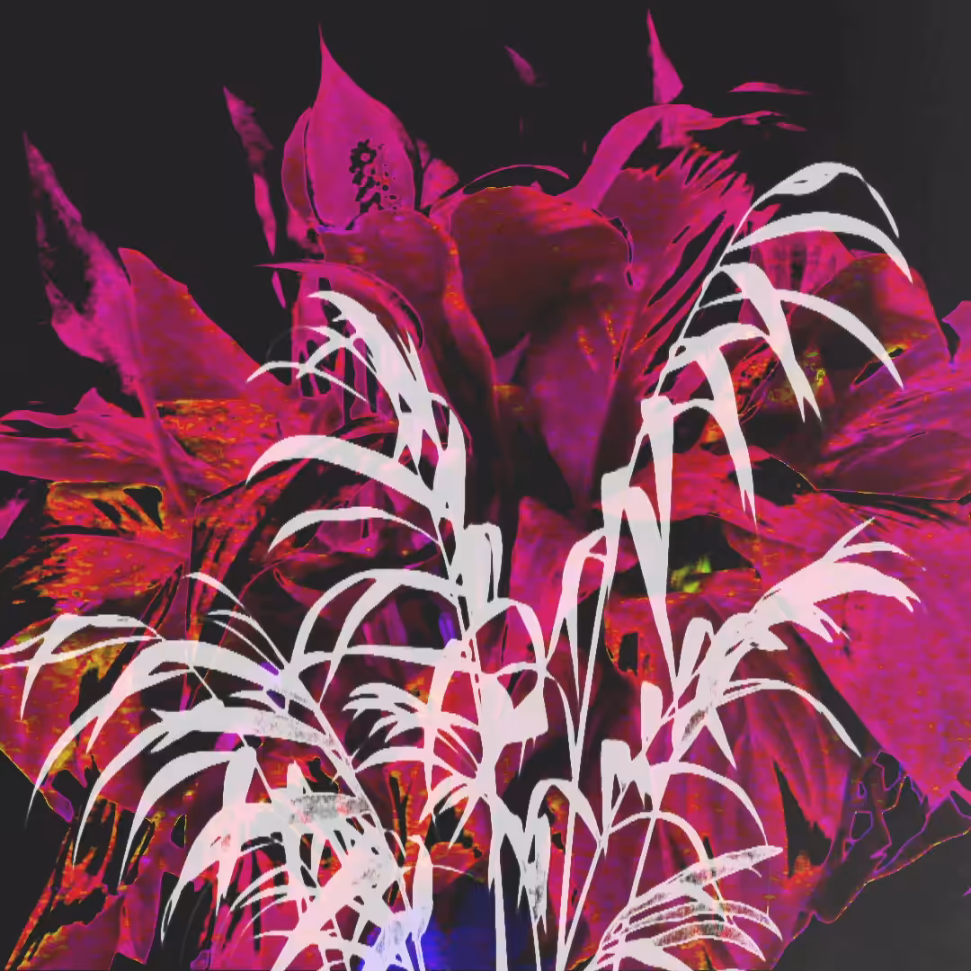 Wind and Plants