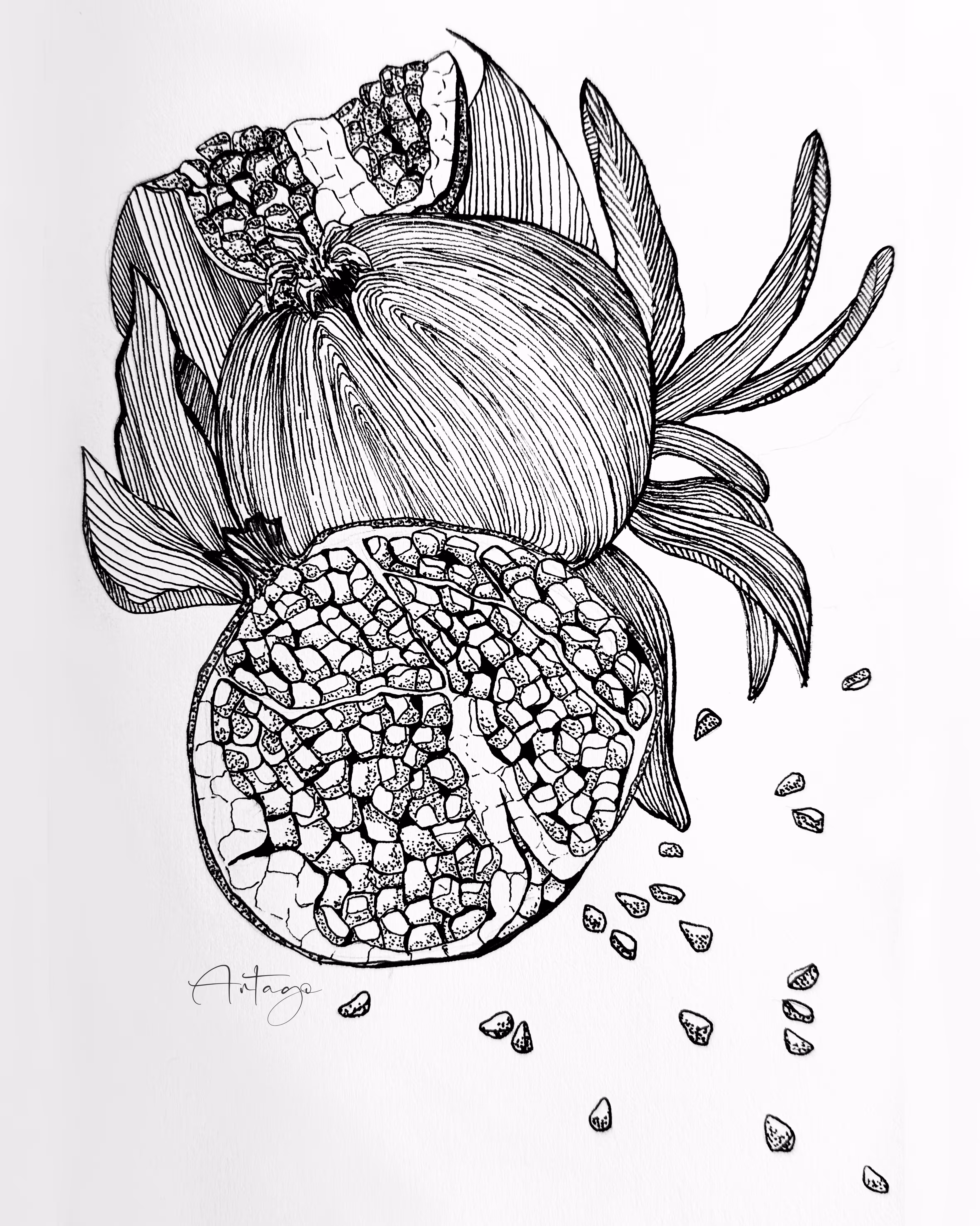 Grenades
