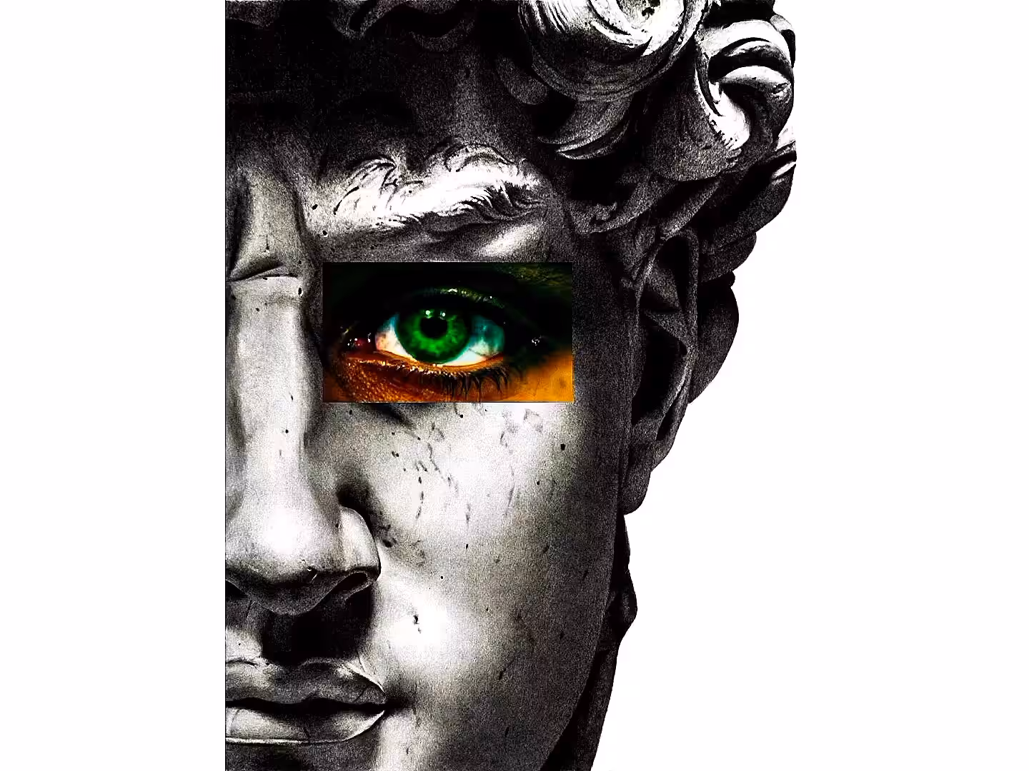 David di Michelangelo\Vv 