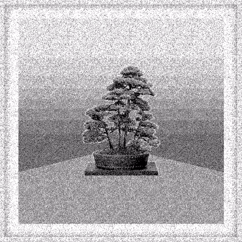 Bonsai Bonanza #852