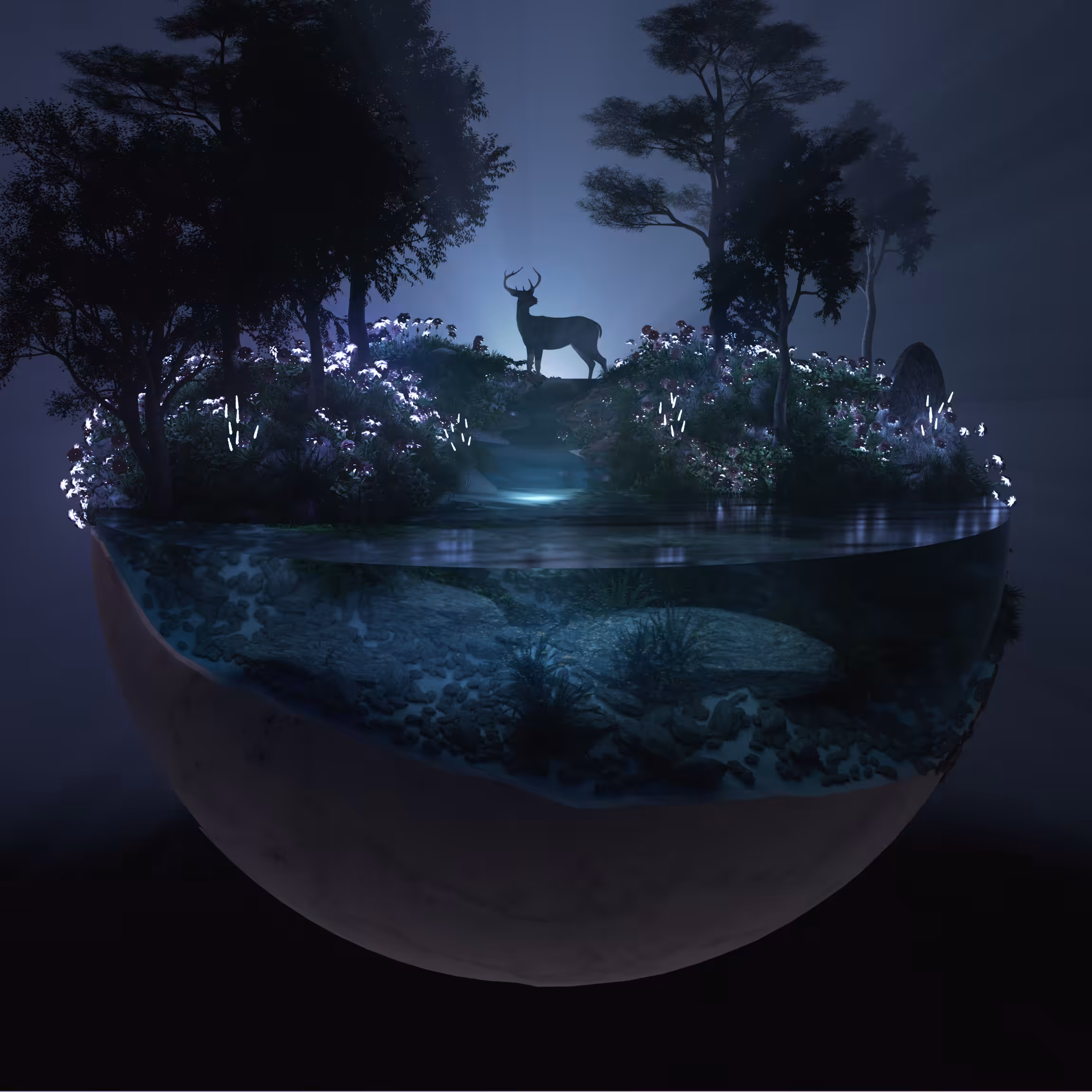 DREAMY TRIP #12