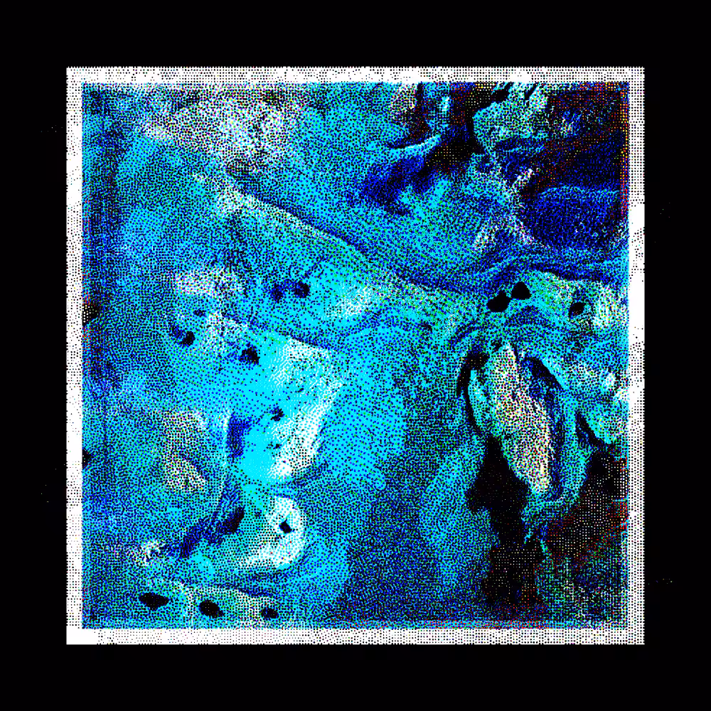 CHX-1 #252