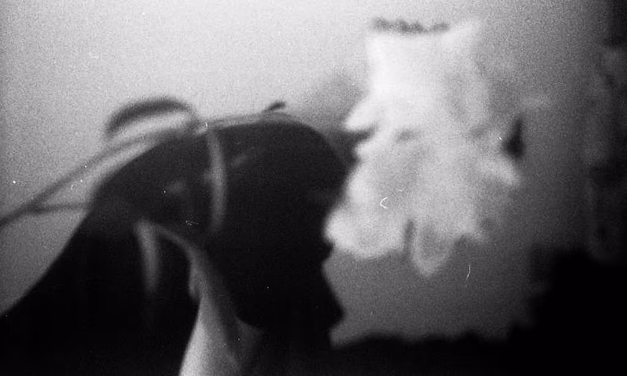 “The Wind Will Take Us #2”