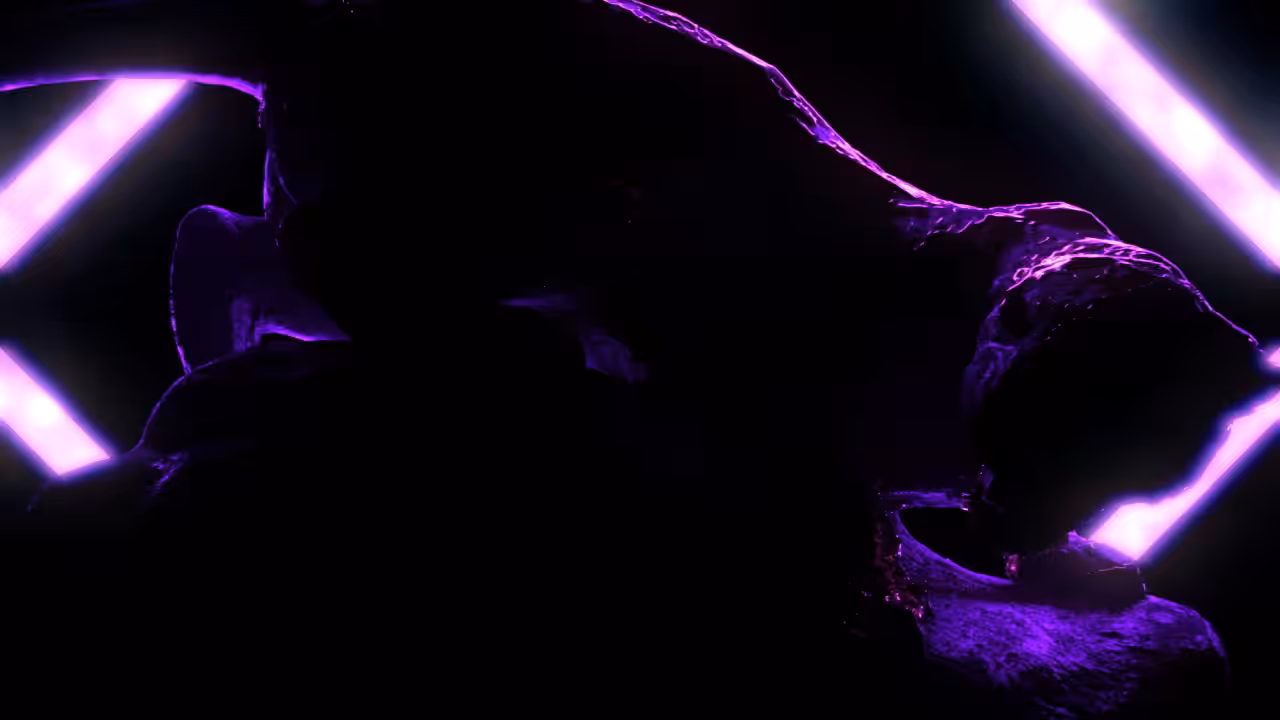 Neon: The Panther