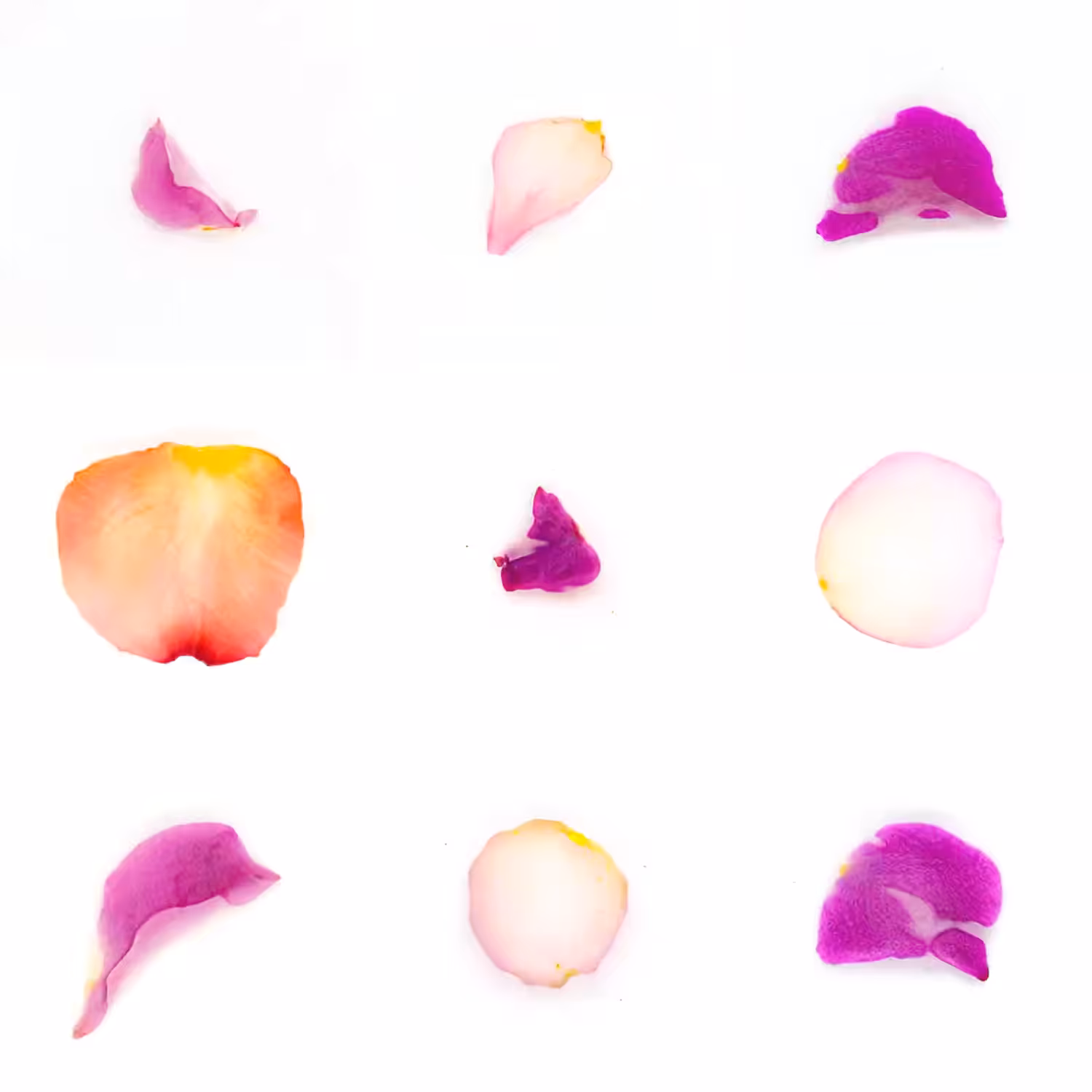 Infinite Petals 3x3#3355