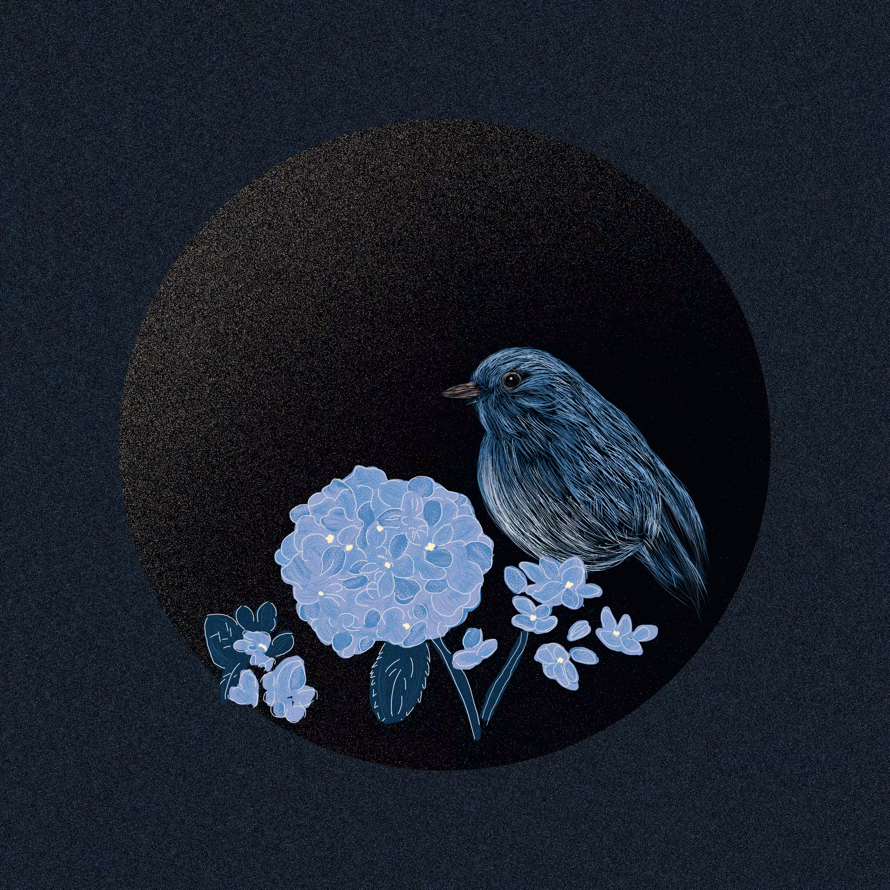 Lucky circle