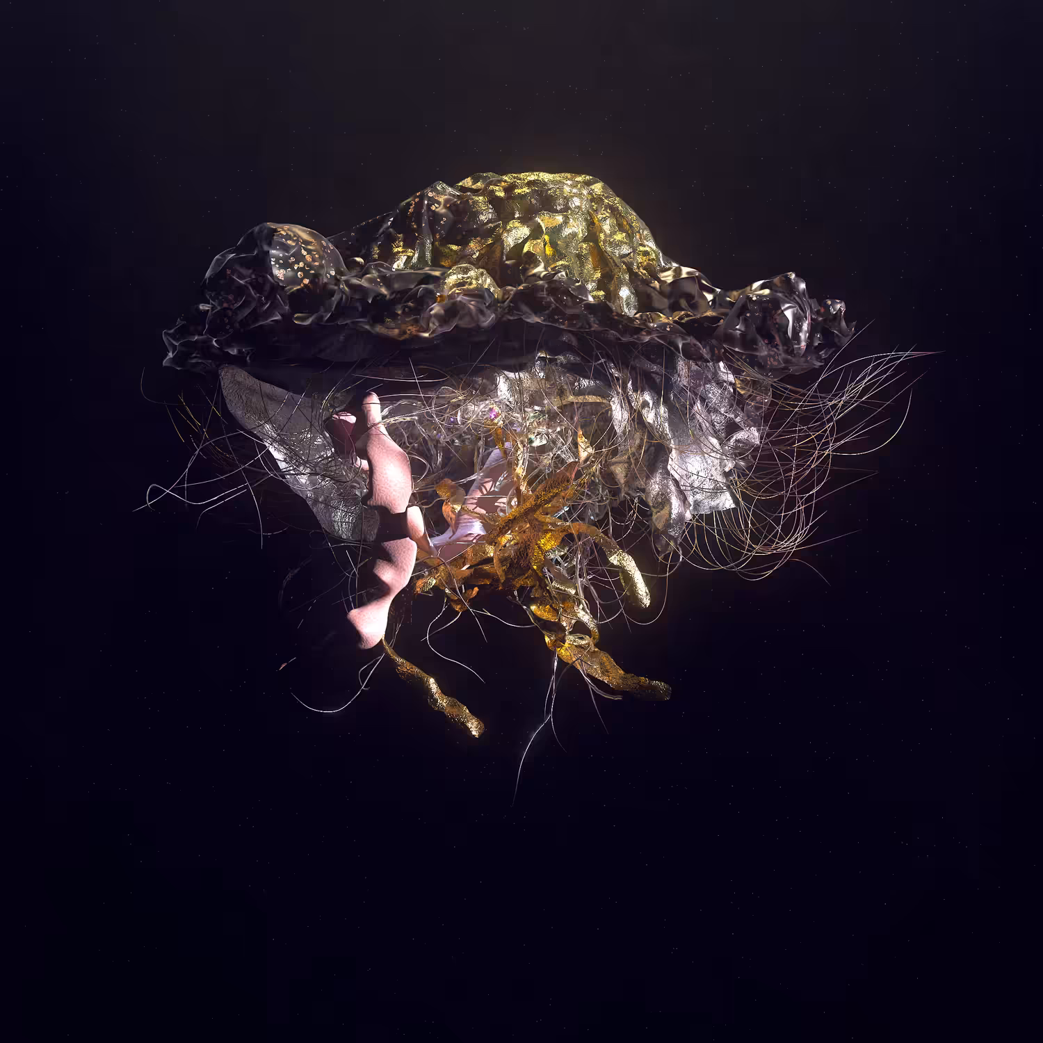 Jellyfish In Motion - 01