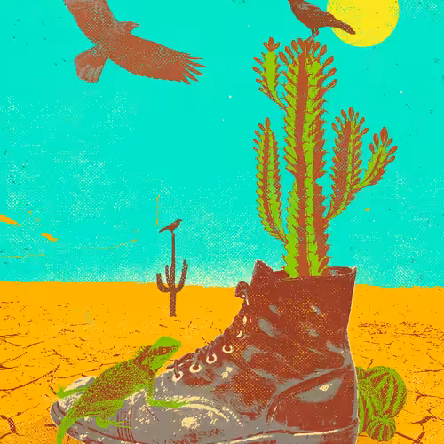 Showdeer: CACTI BOOT