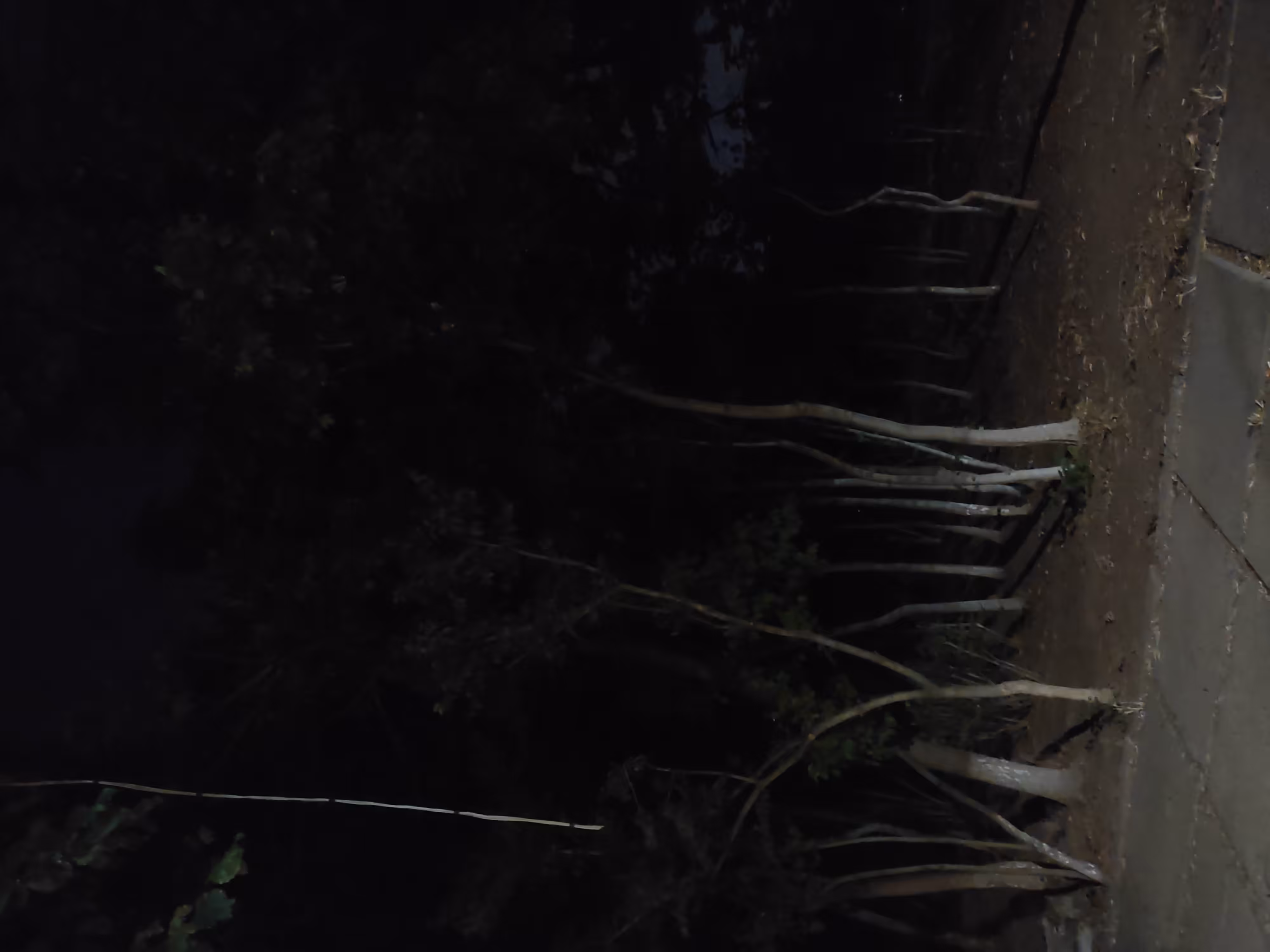 Can you see it?