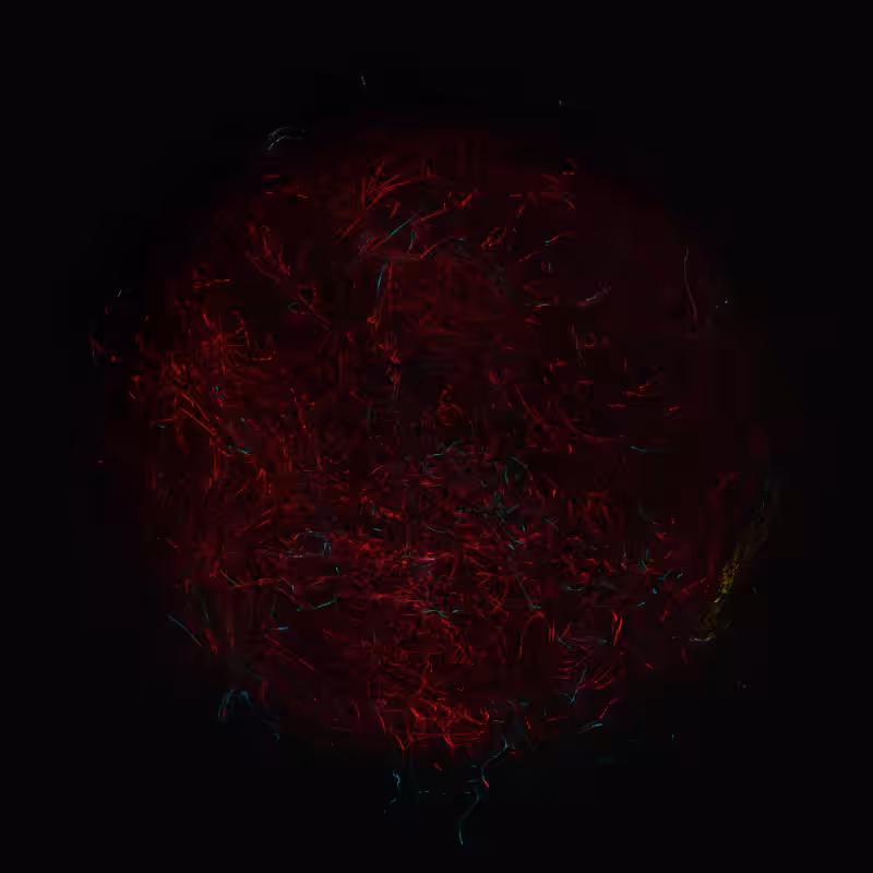 balls in vector fields #14