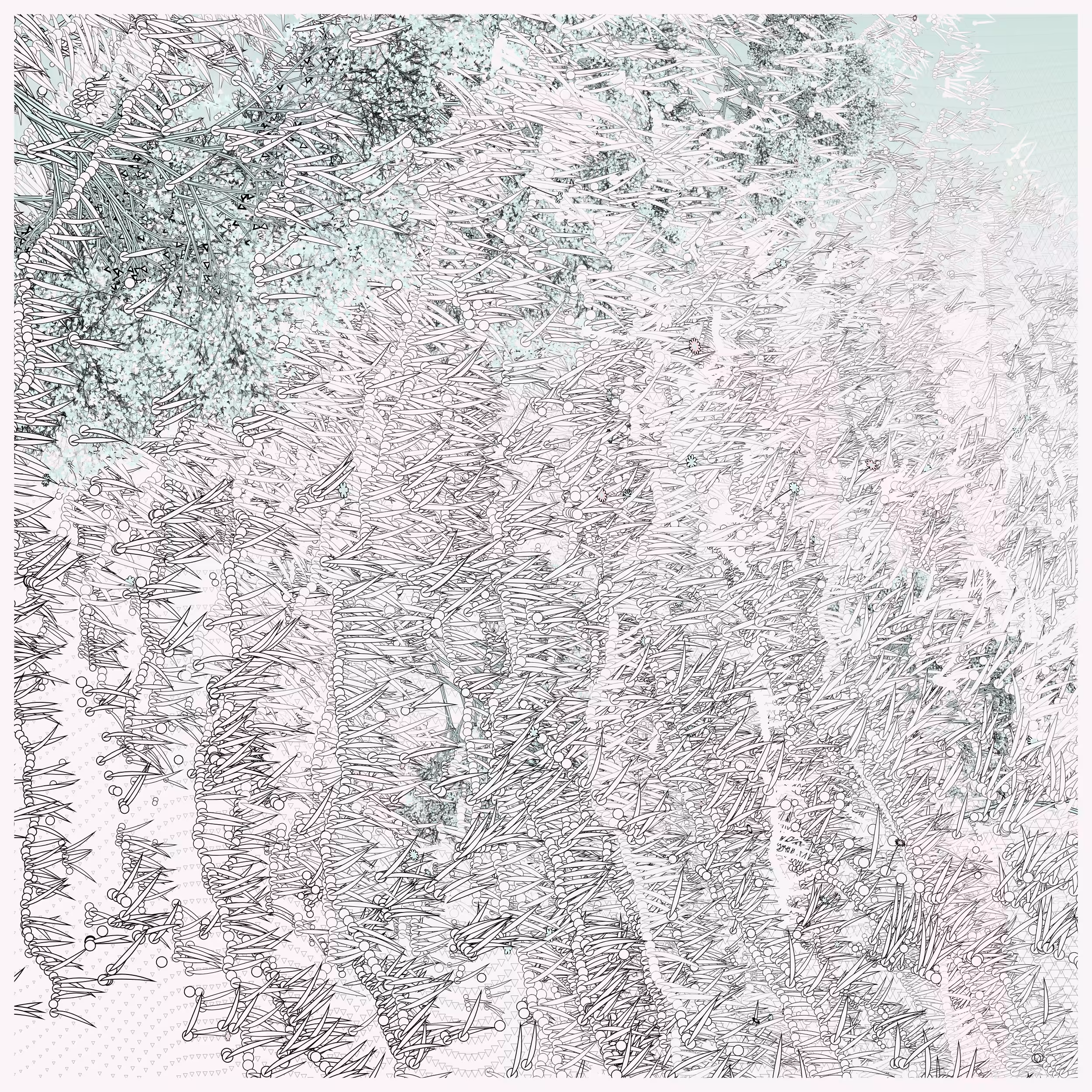 Natural order.chaos #4