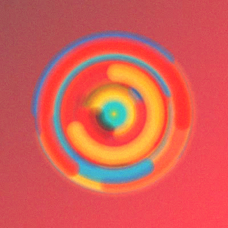 Wisp #526
