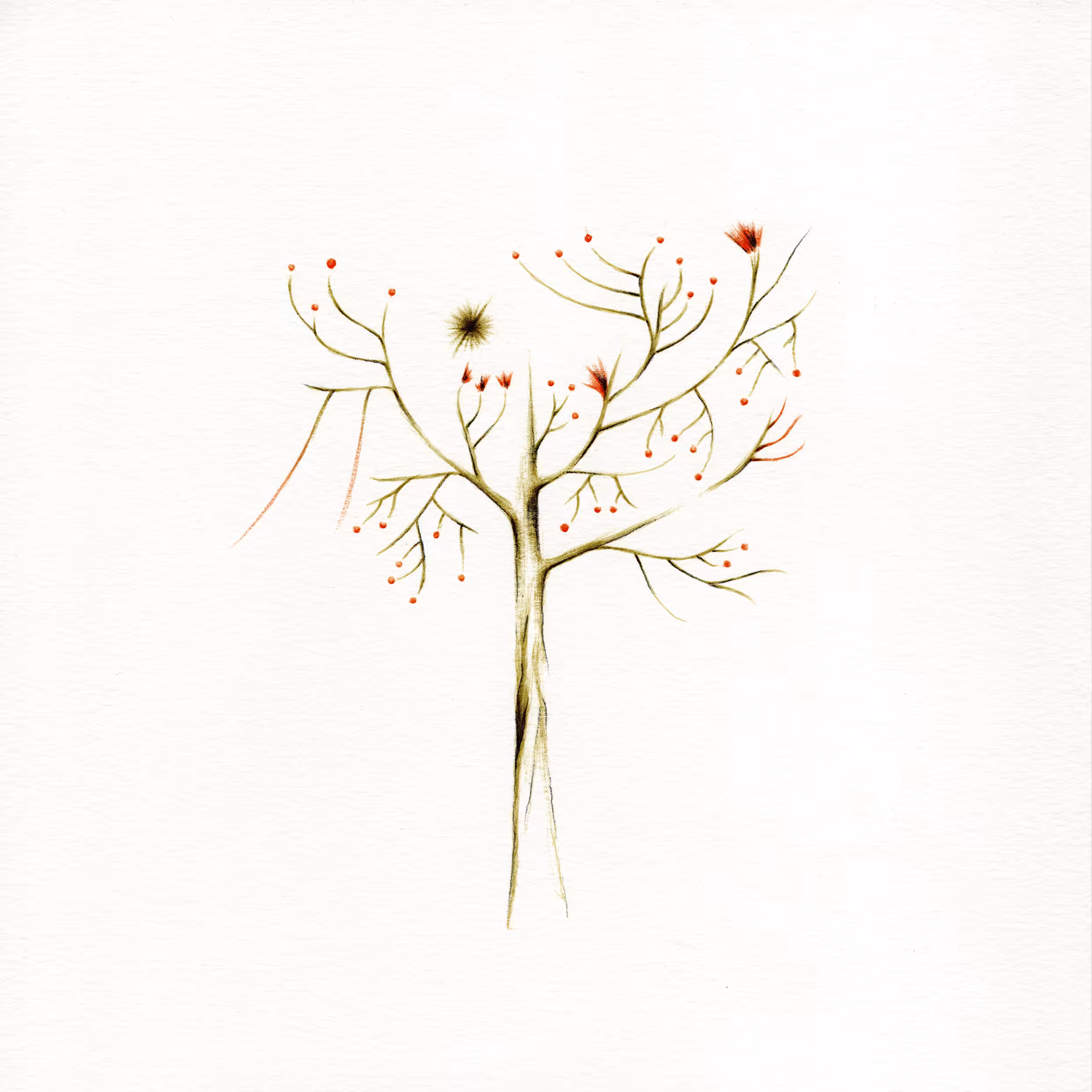 imaginary tree #19