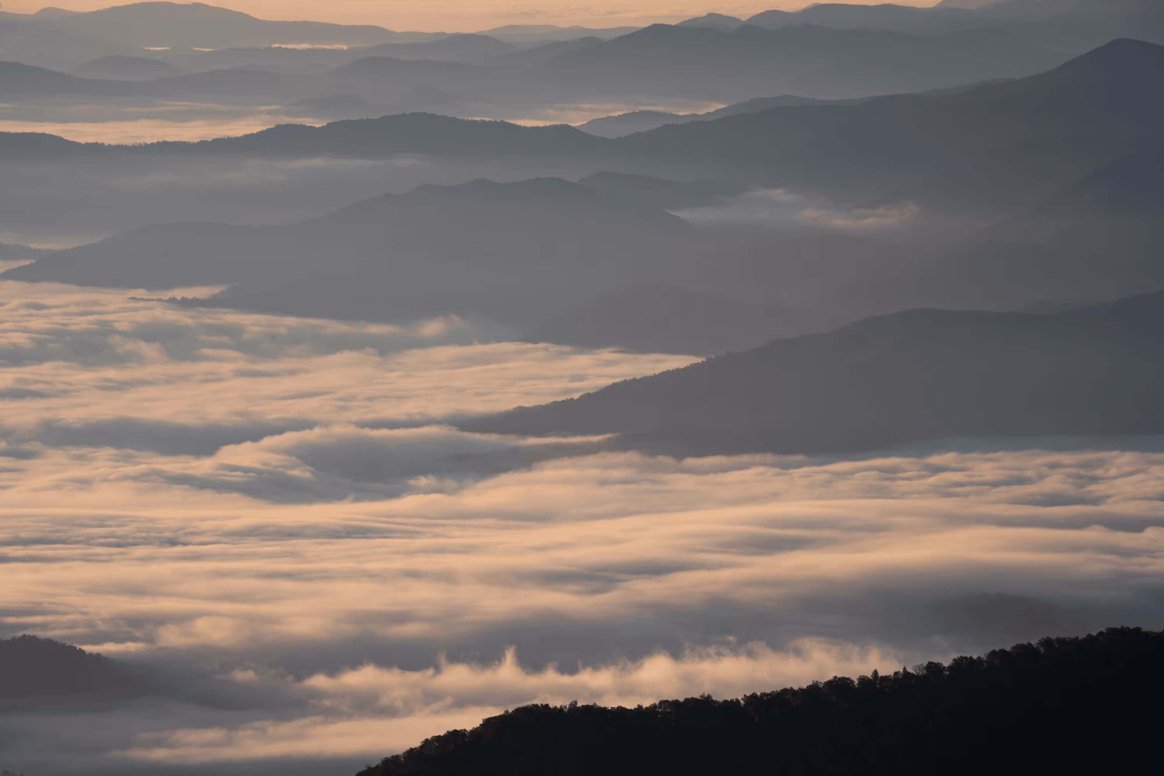With Love From Appalachia #019