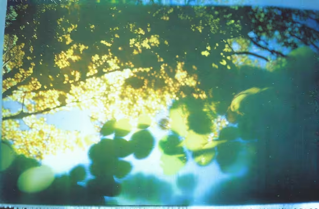 natural fiction 2.1