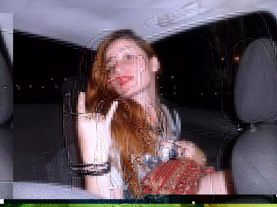 Camis Databend