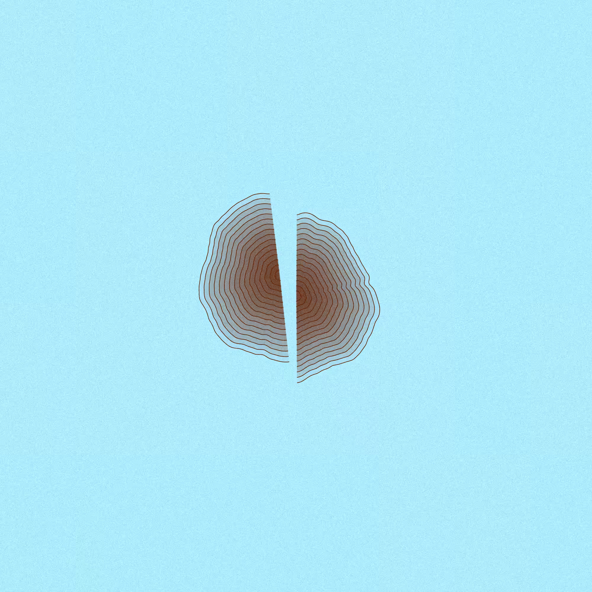Hashed Onions #27