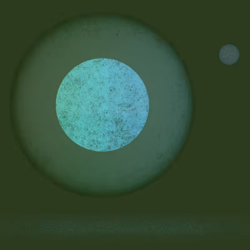 Orbit #116