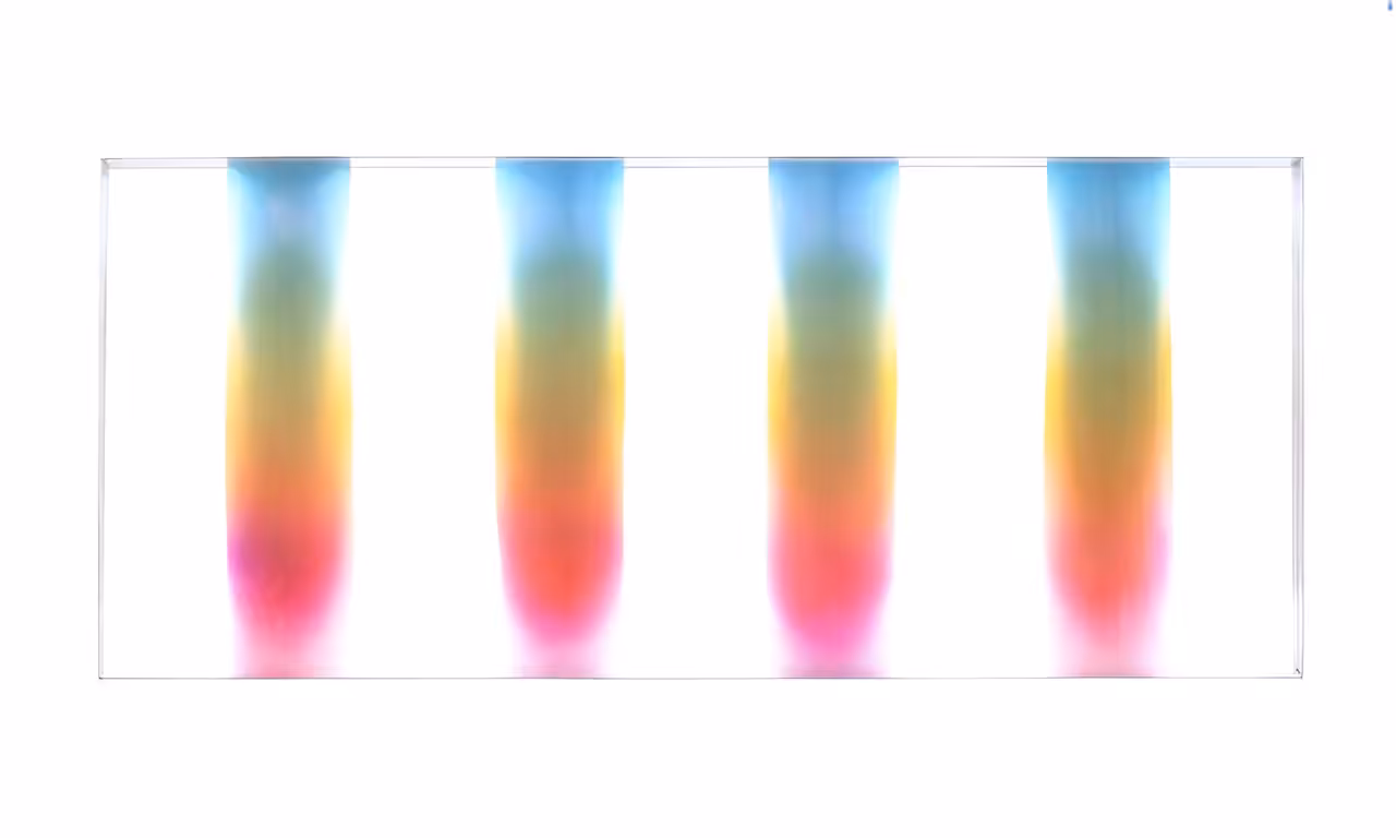 Window #17, test video